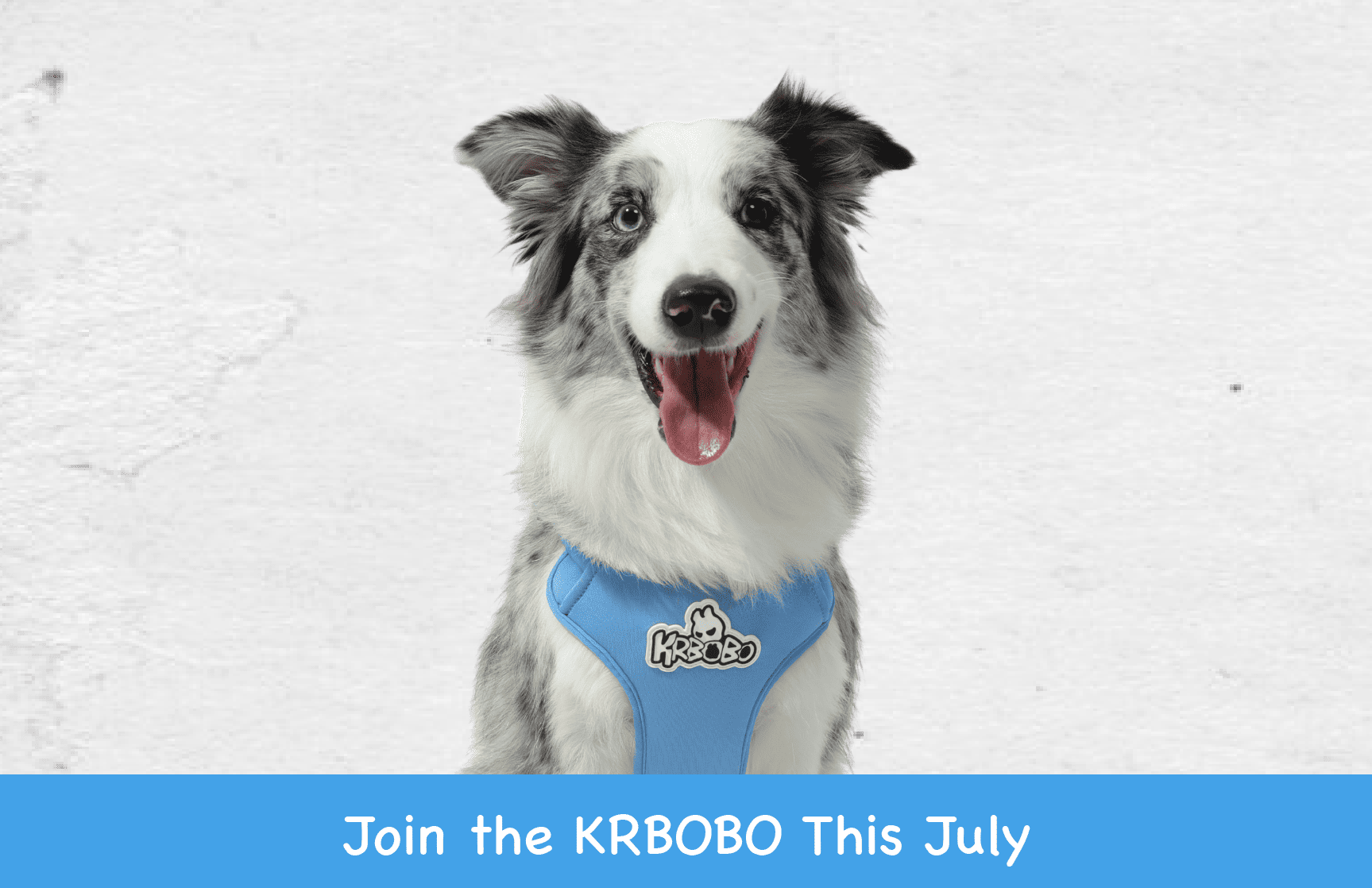 Join the KRBOBO: A July Promotion You Can’t Miss