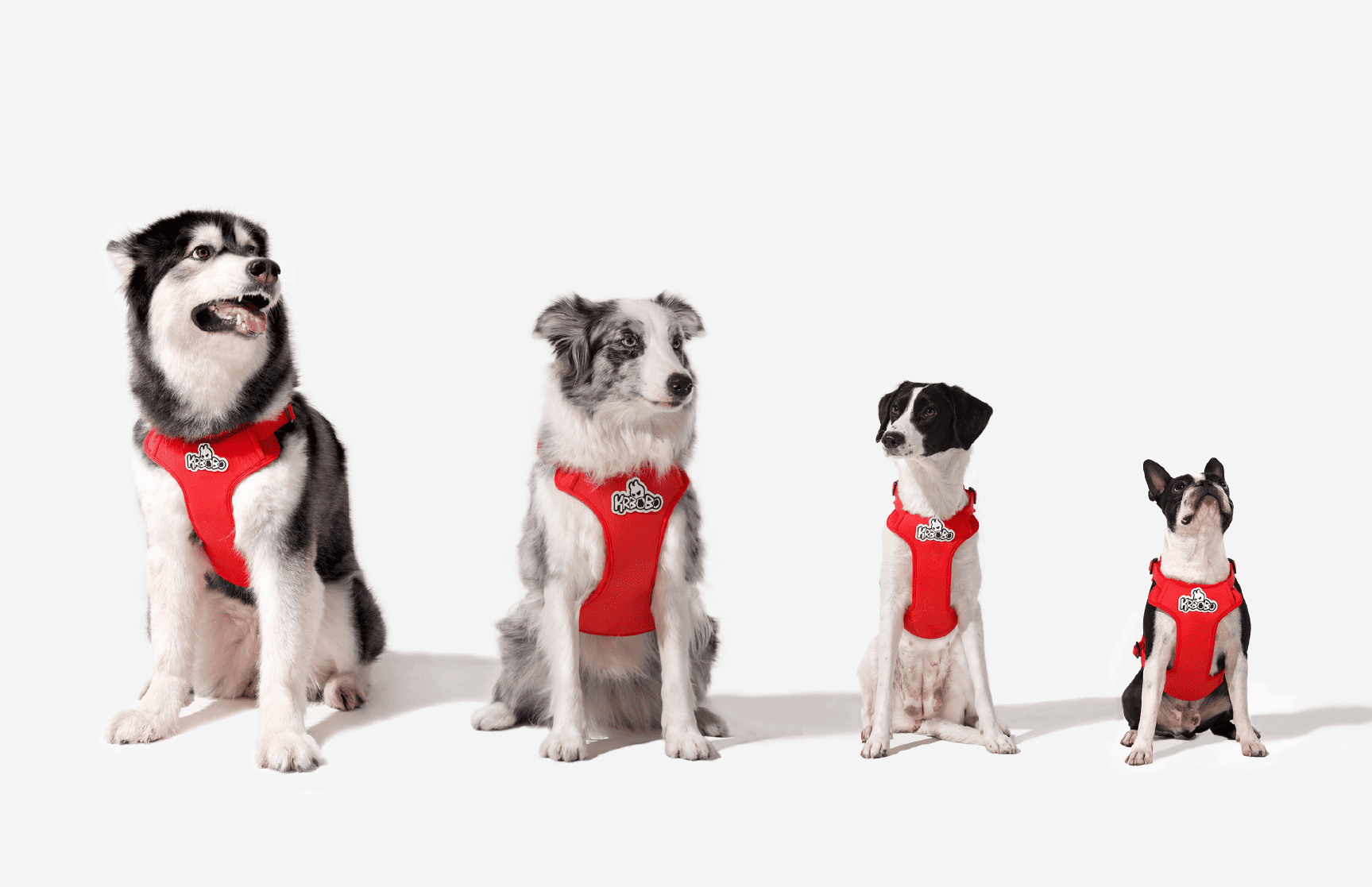 Are Dog Harnesses Good? A Comprehensive Guide