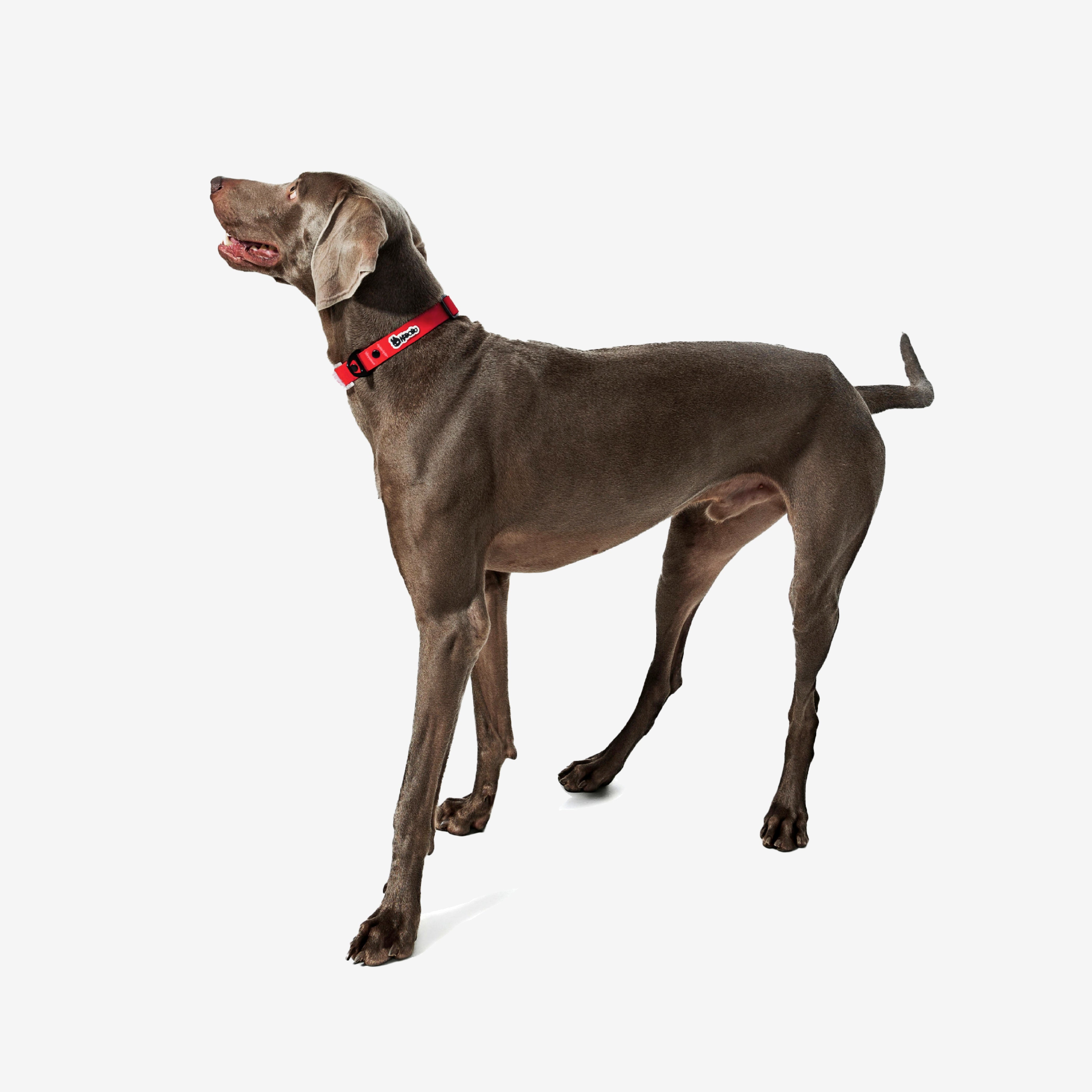 KRBOBO COLLAR