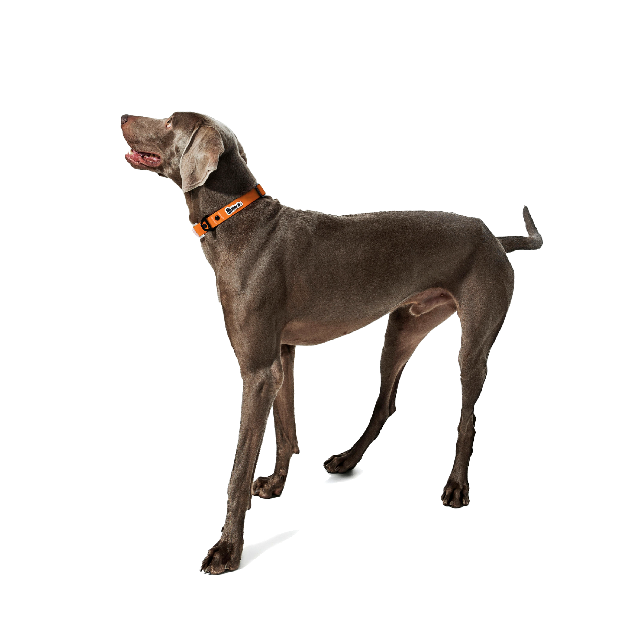 KRBOBO COLLAR