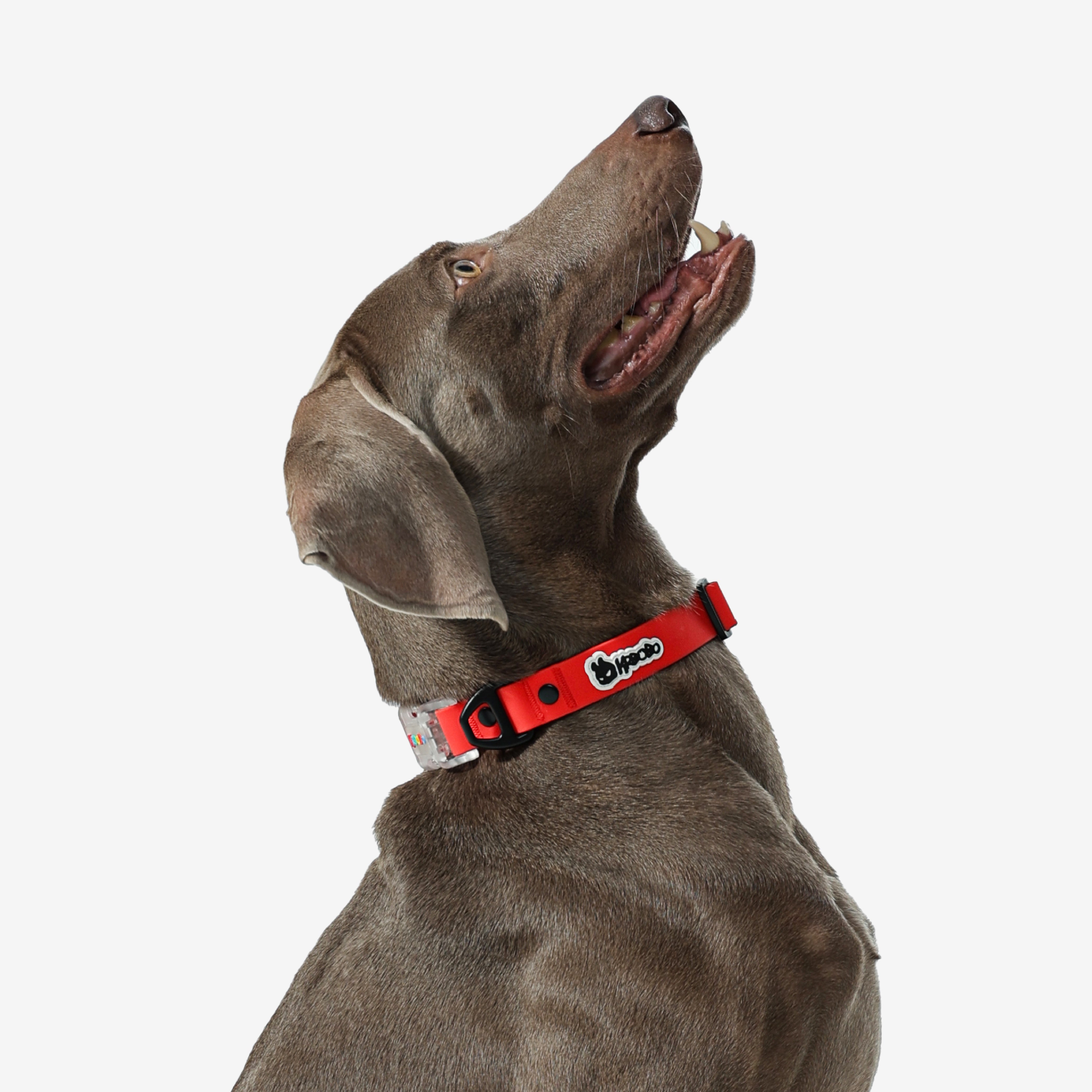 KRBOBO COLLAR