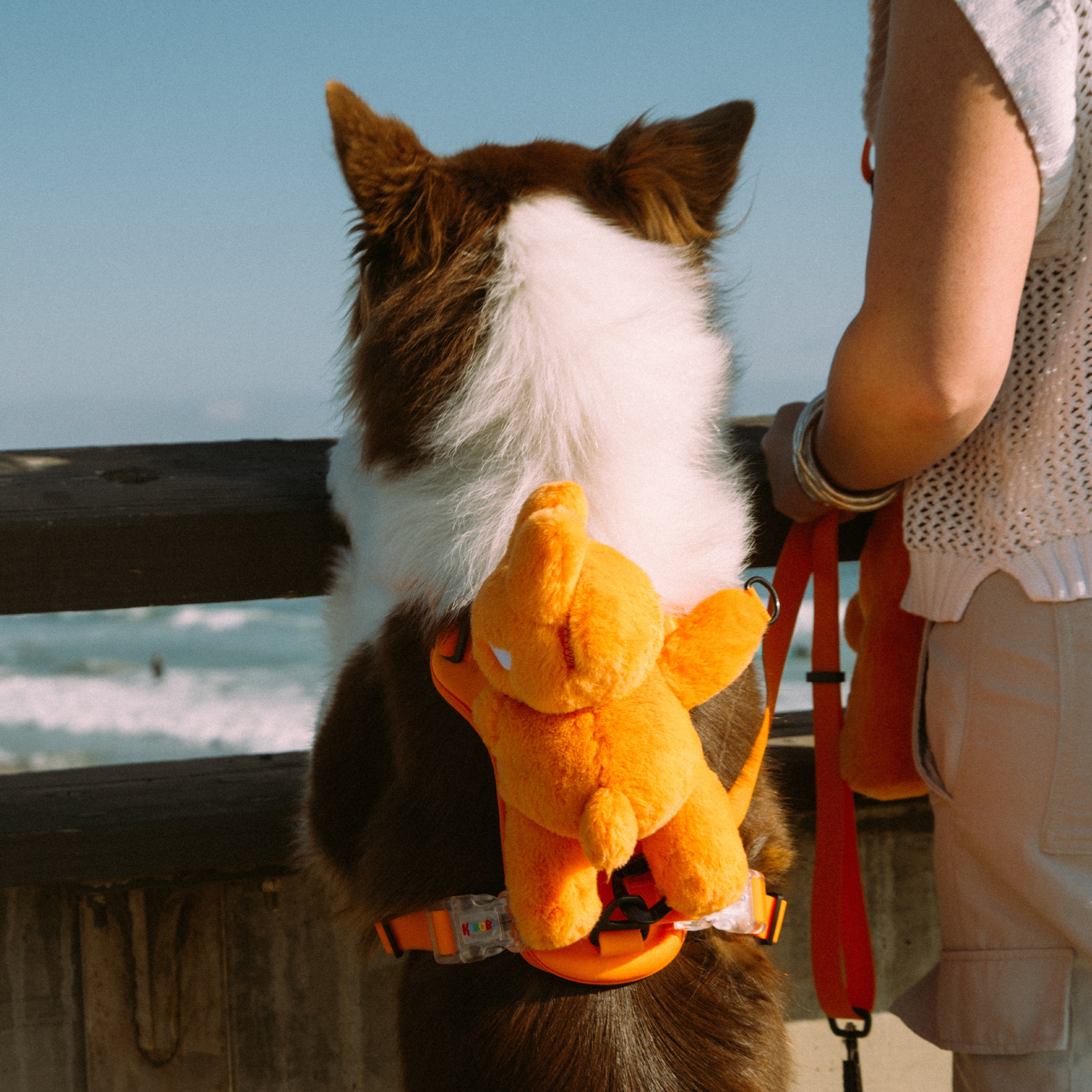 DOG'S BAG