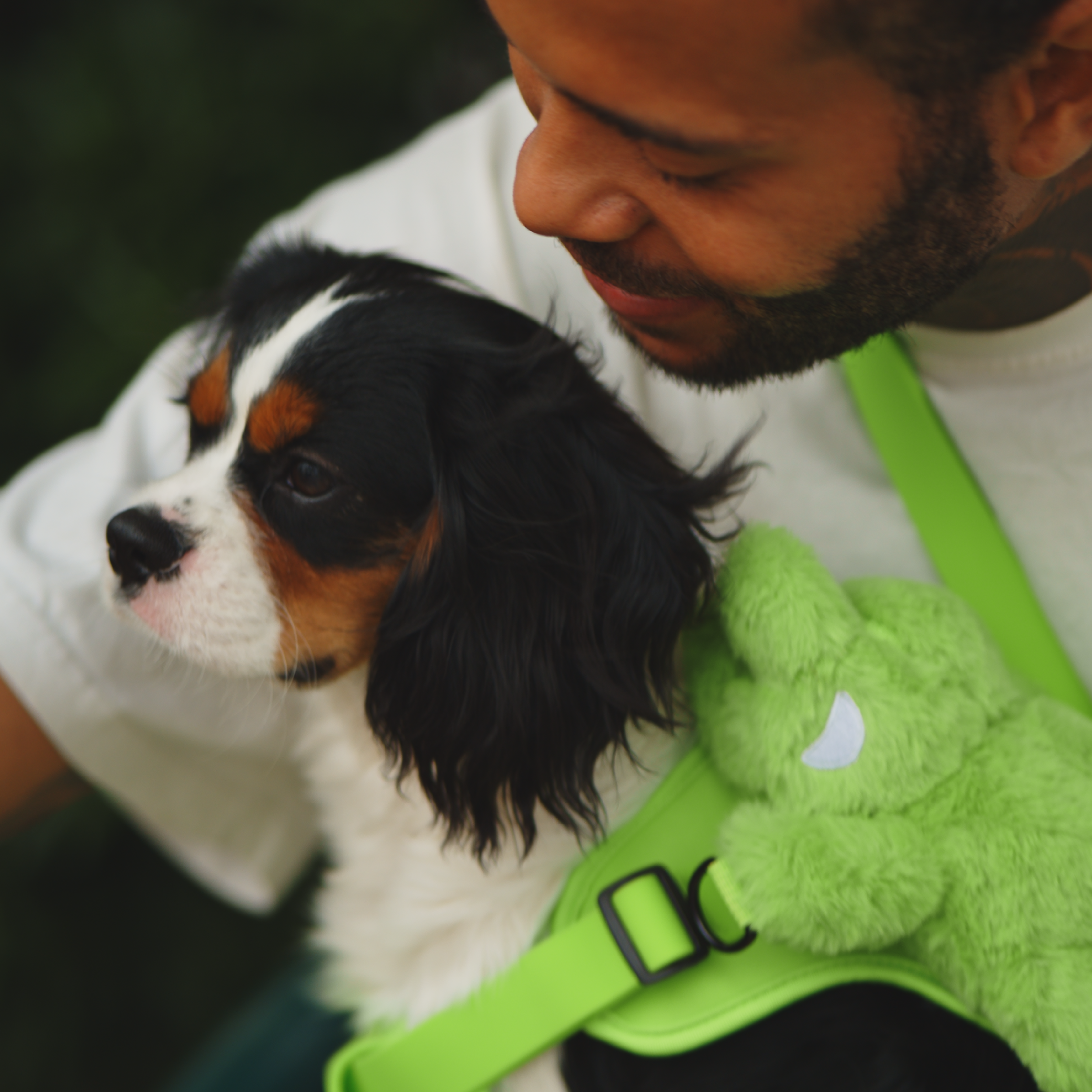 BOBO WALK KIT