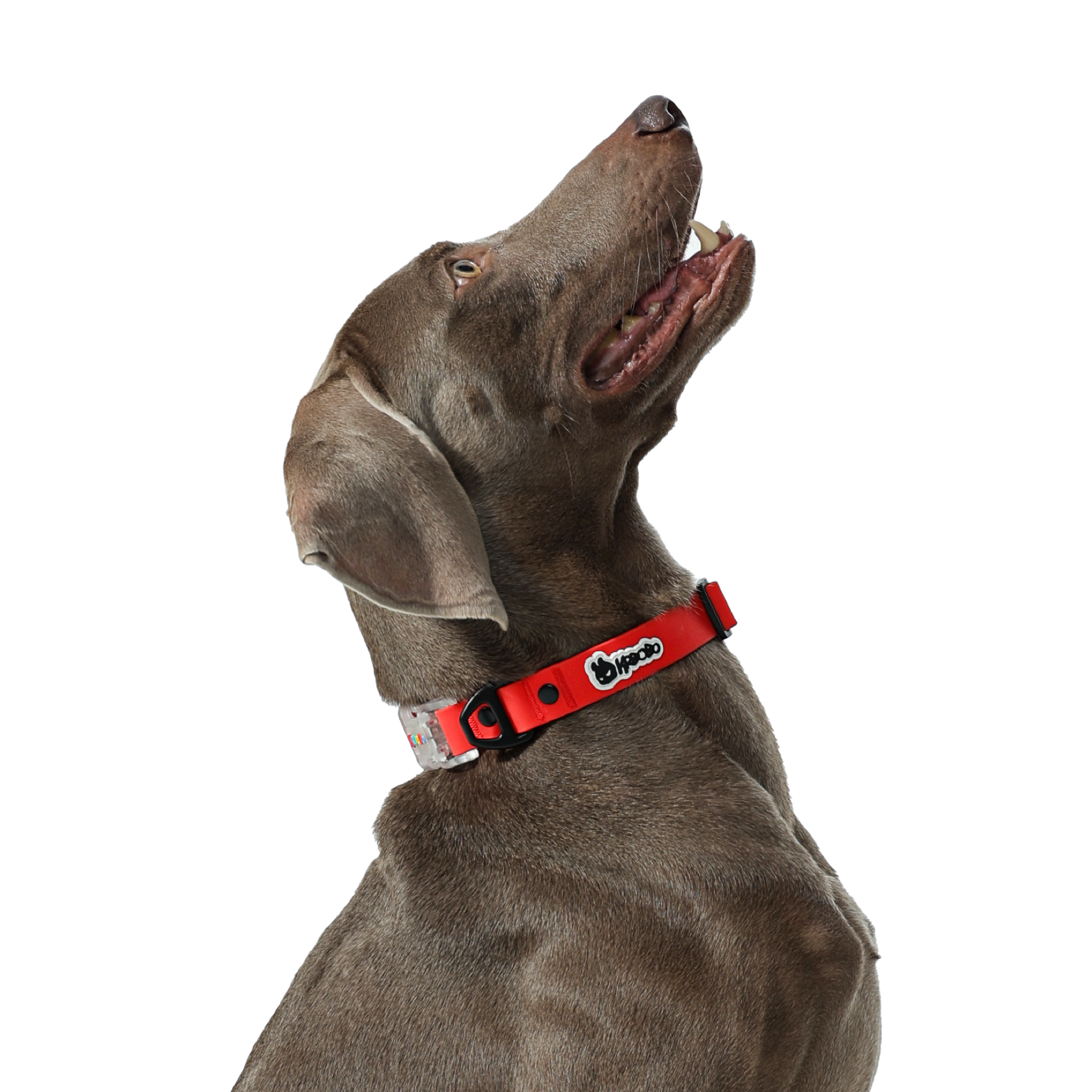 KRBOBO COLLAR