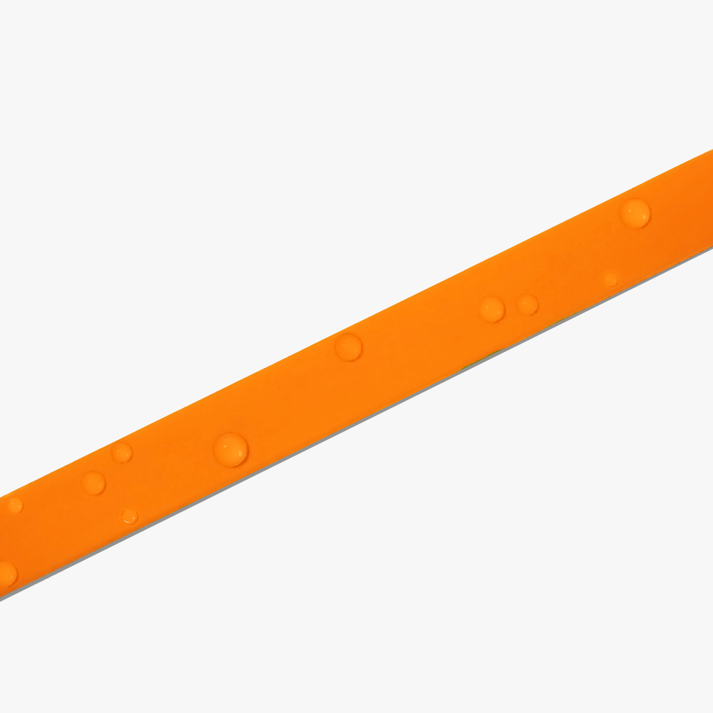 MULTIFUNCTIONAL LEASH