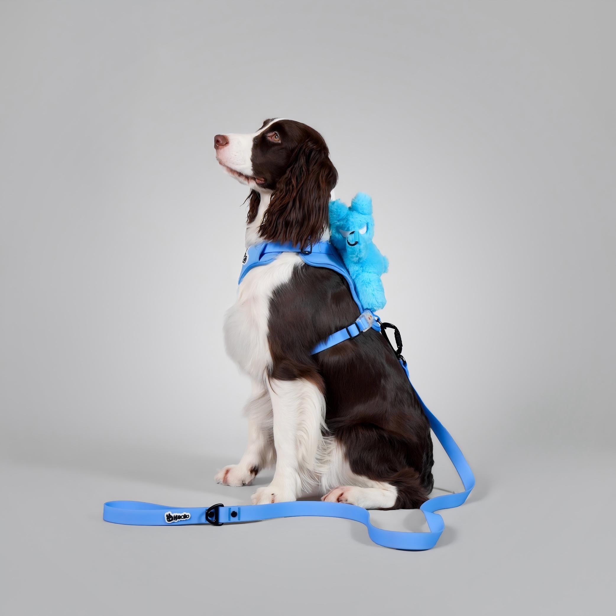 DOG'S BAG