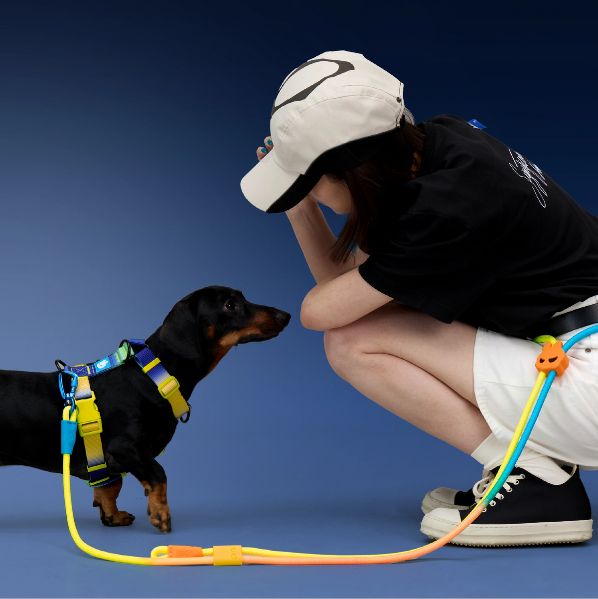 dog-model-Mori