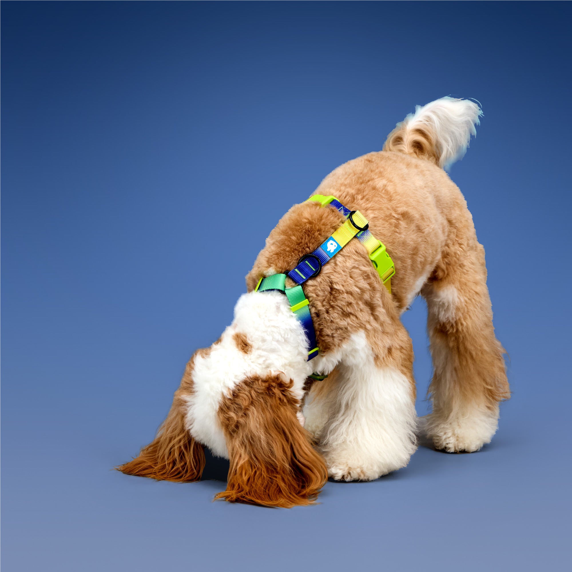KRBOBO THERMAL TRAIL Harness