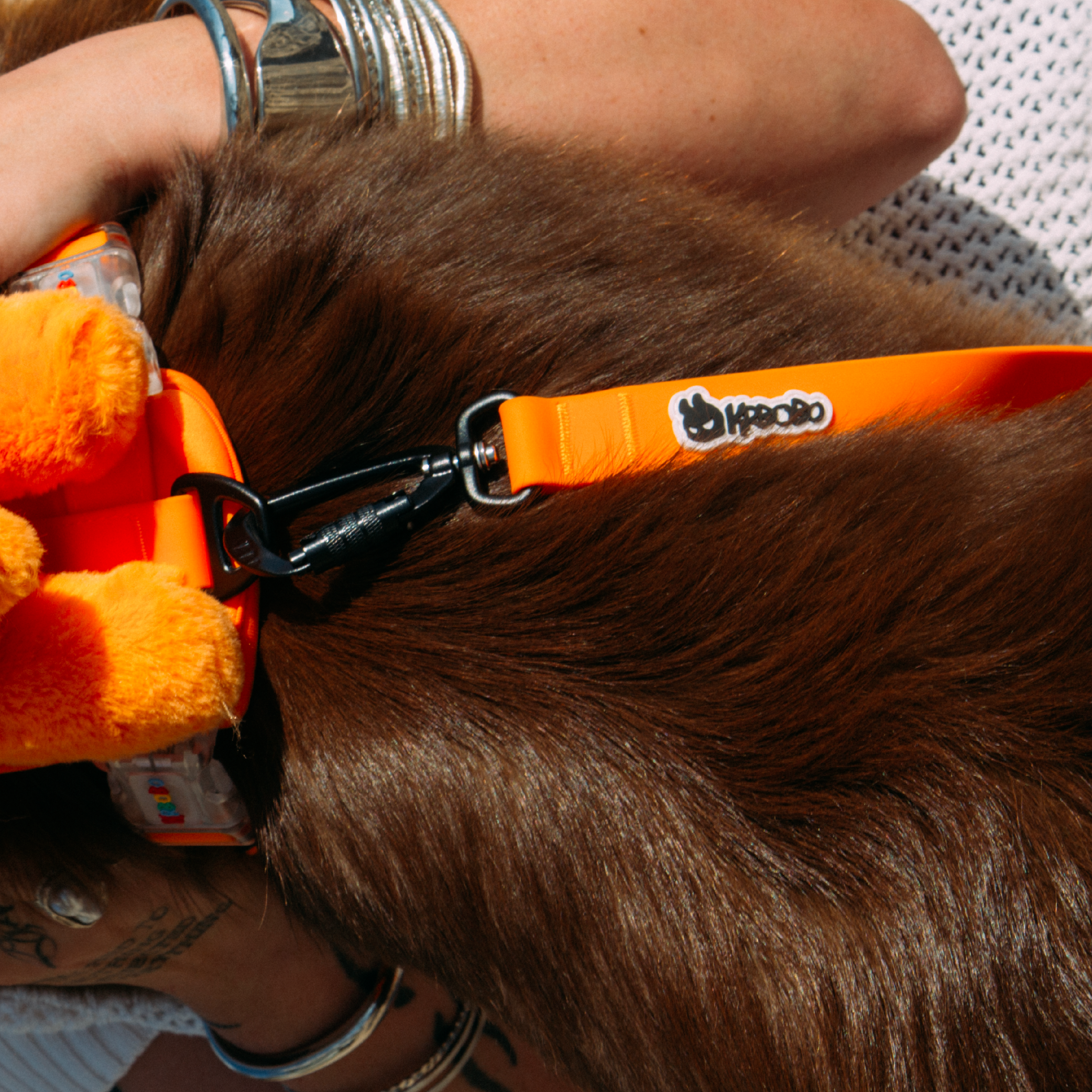 MULTIFUNCTIONAL LEASH