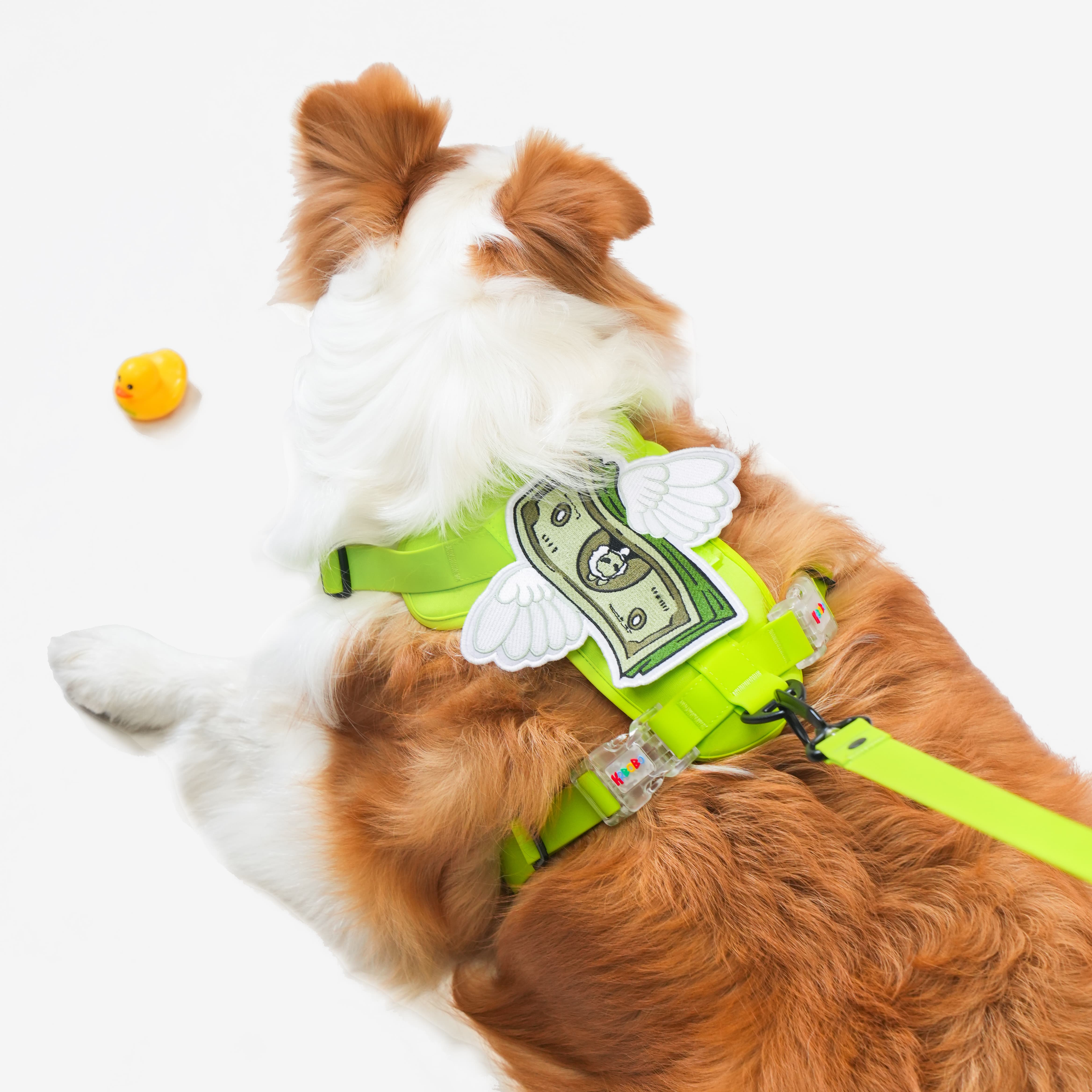 KRBOBO HARNESS
