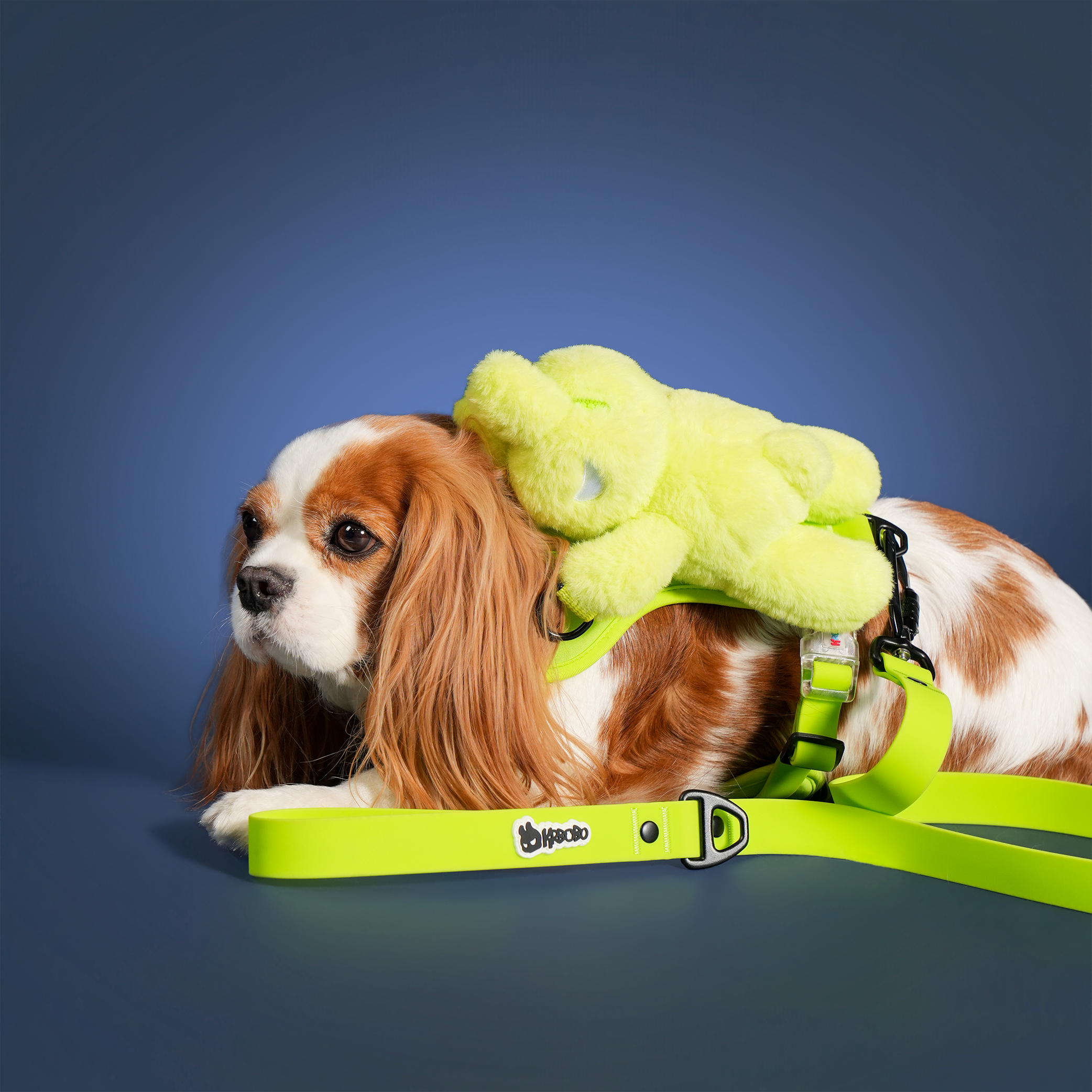 BOBO WALK KIT