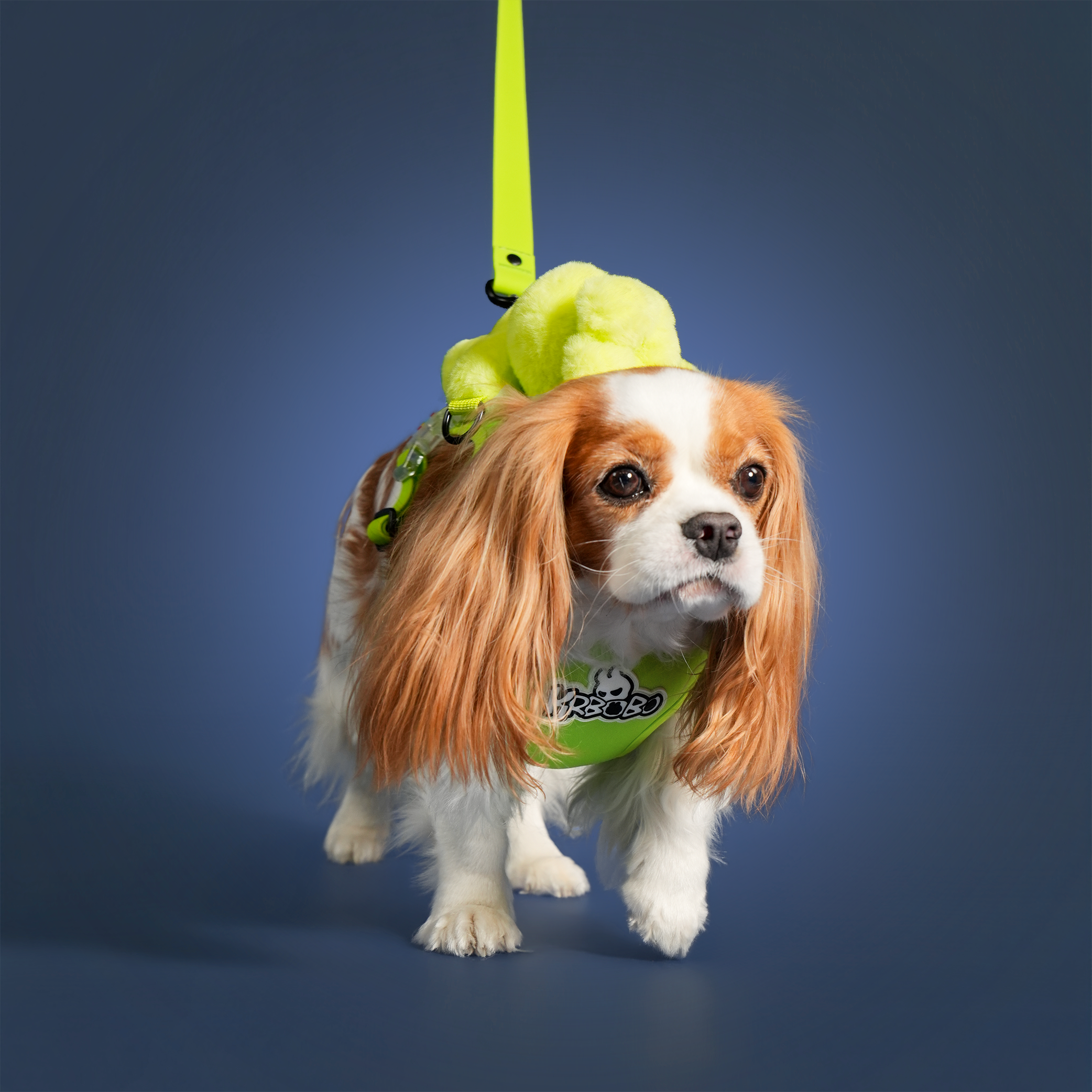 BOBO WALK KIT