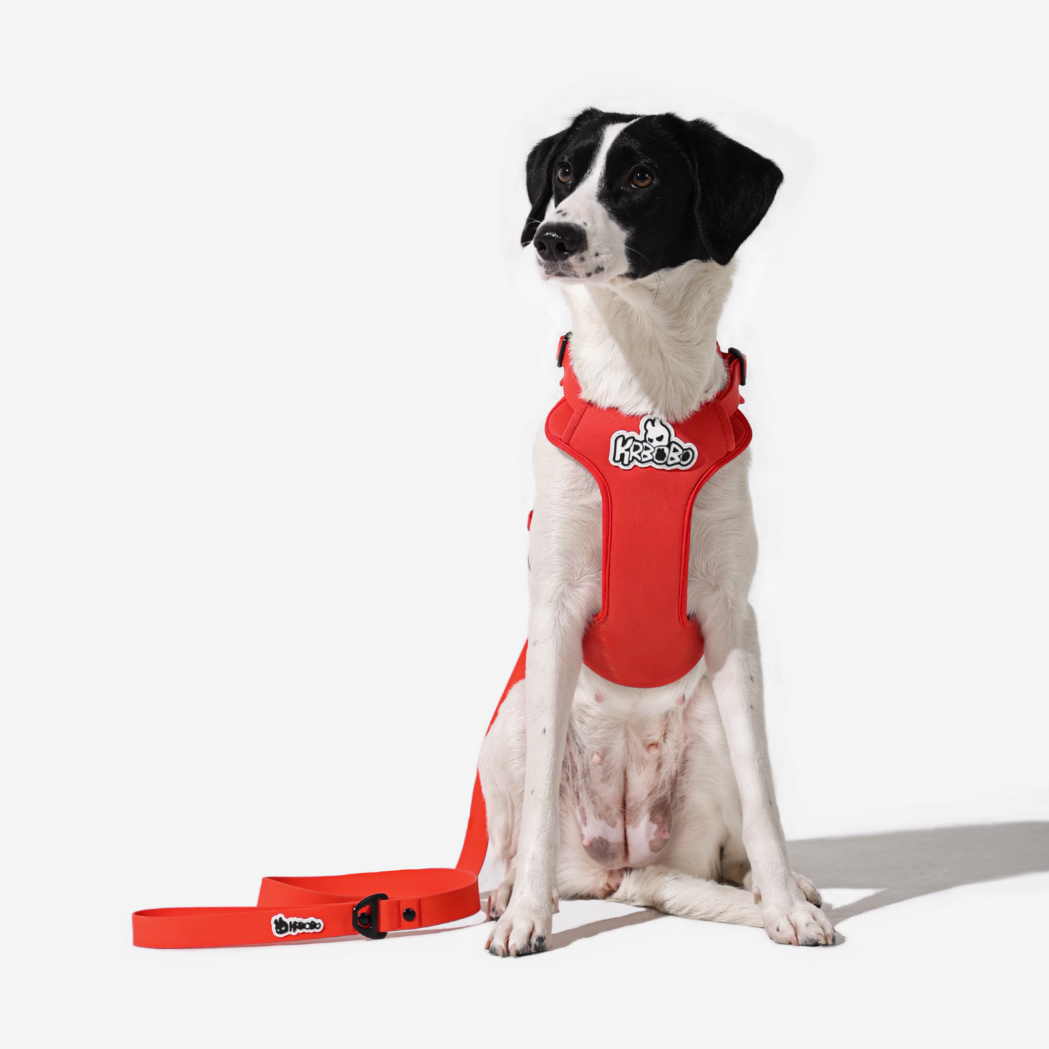 ON-THE-GO WALK KIT