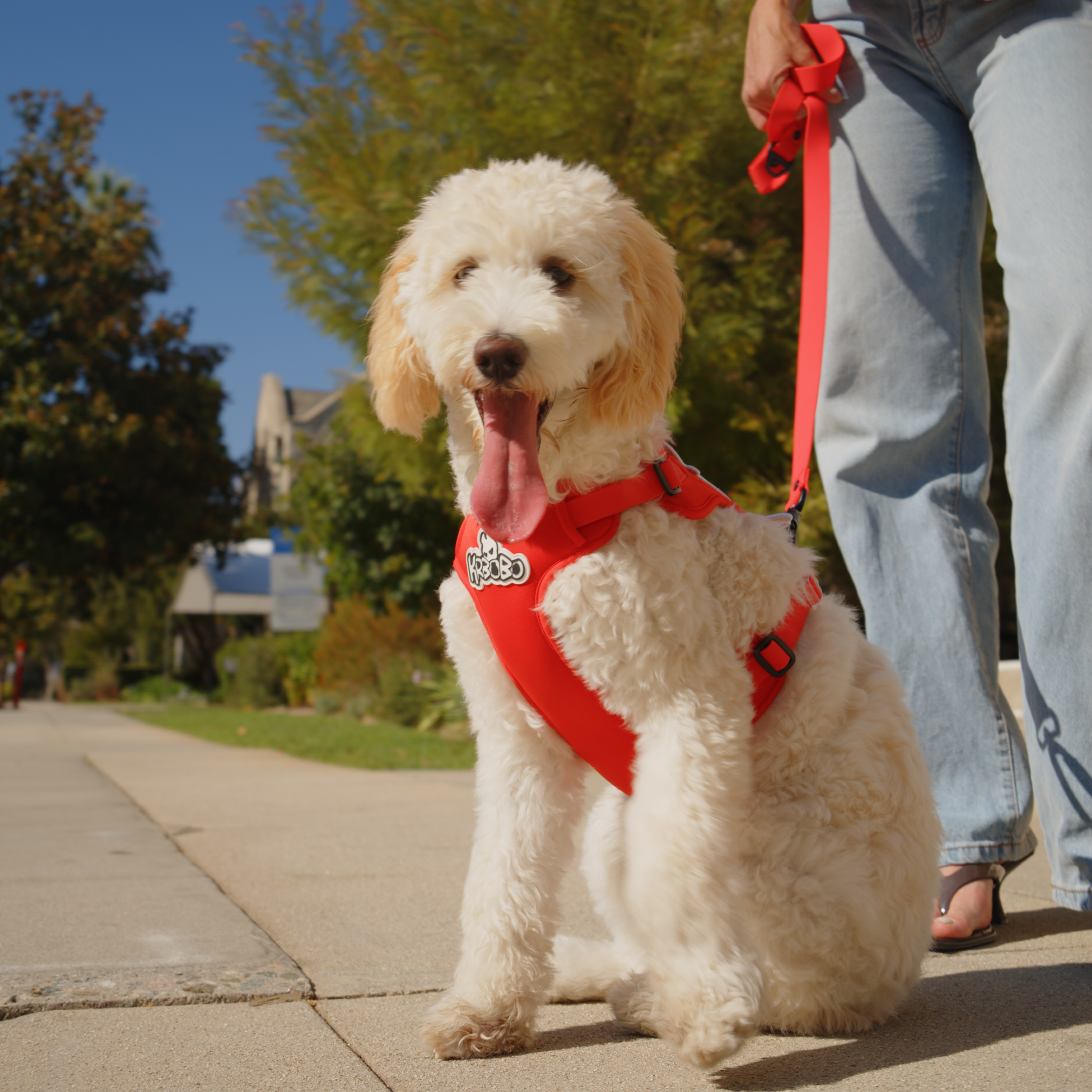 ON-THE-GO WALK KIT