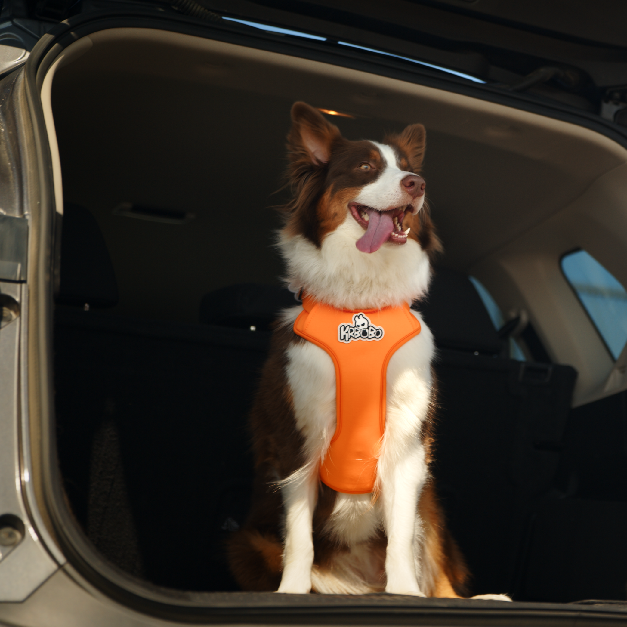 KRBOBO HARNESS