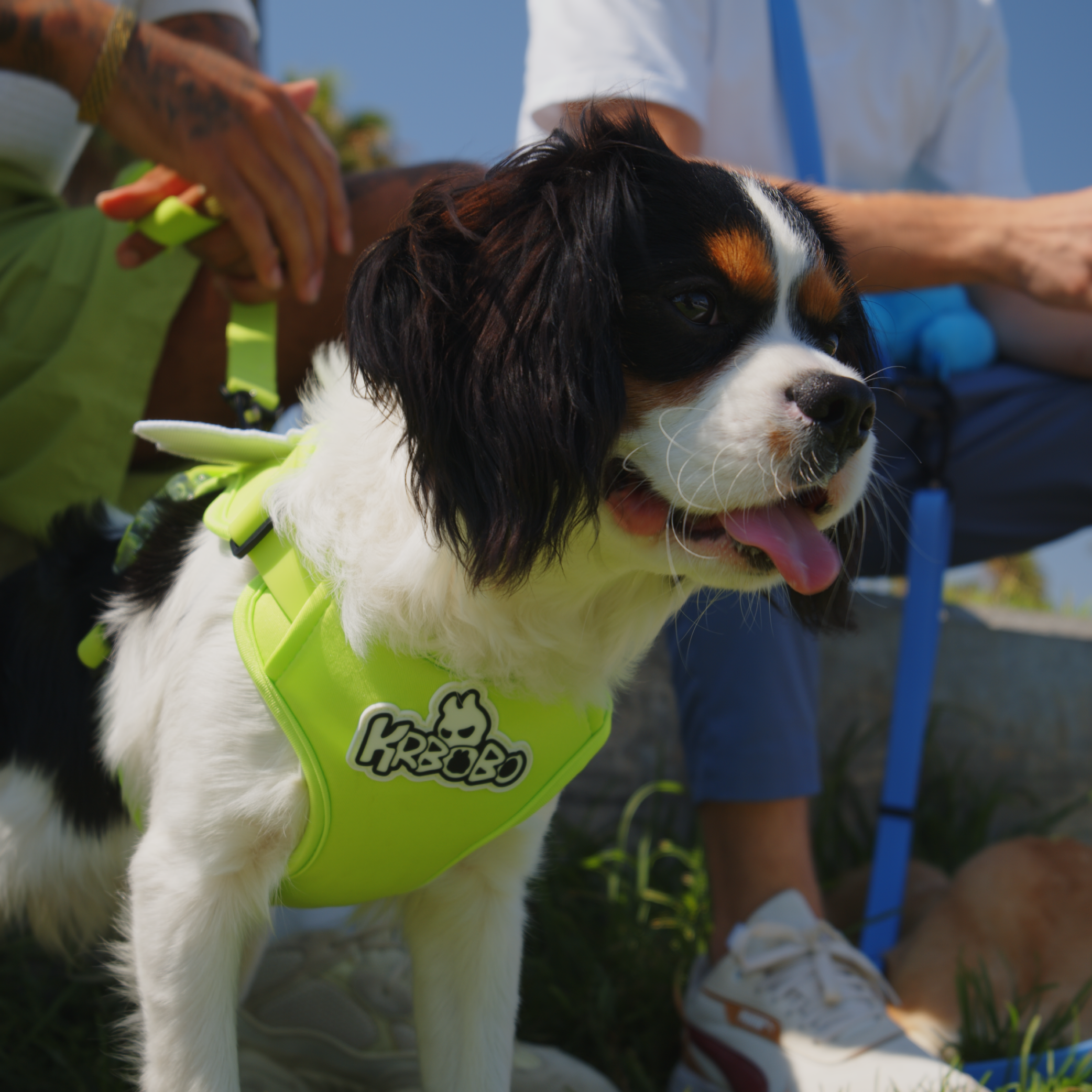 KRBOBO HARNESS