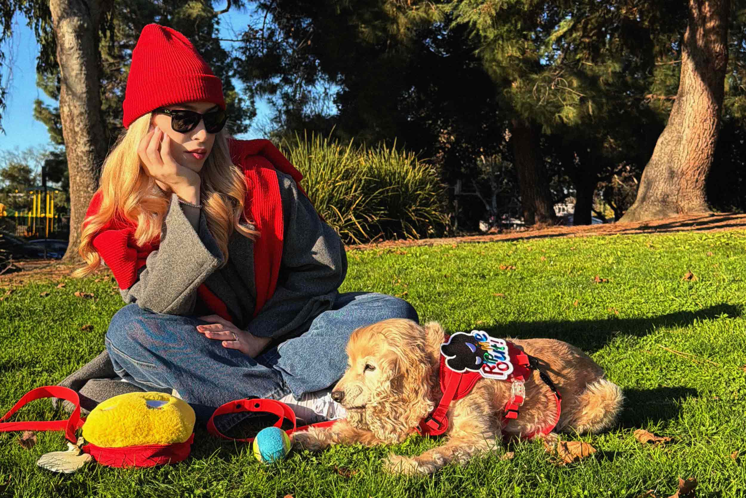Best Hands-Free Dog Leash for Dogs: A Better Way to Walk, Train, and Explore Outdoors
