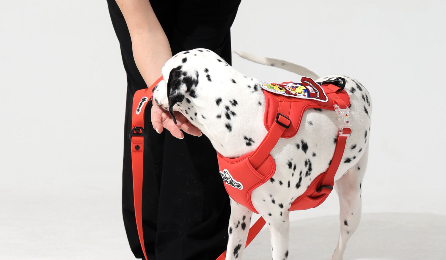 Why Do Dogs Sniff Everything? The Science Behind Your Pup’s Nose