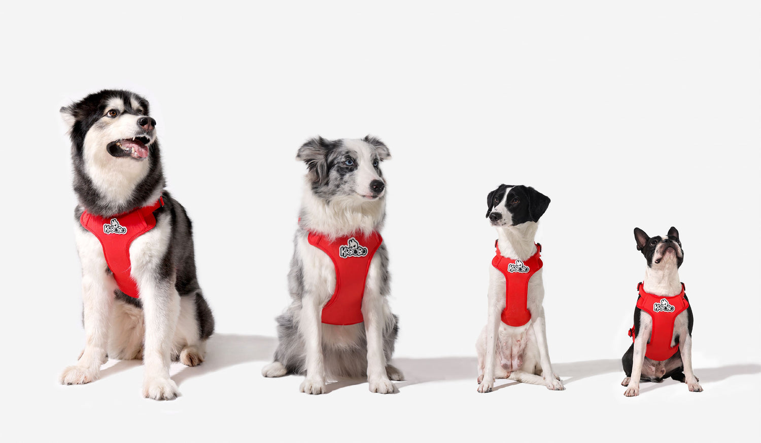 Are Dog Harnesses Good? A Comprehensive Guide