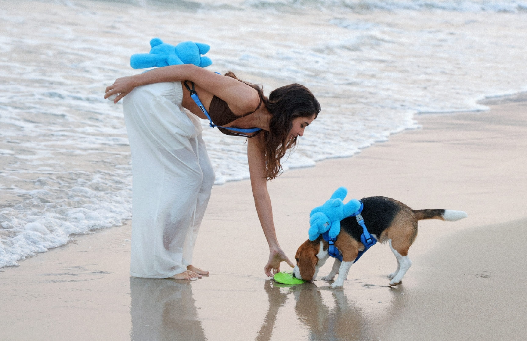 Heatstroke Is Real: How to Keep Your Dog Cool in Hot Weather