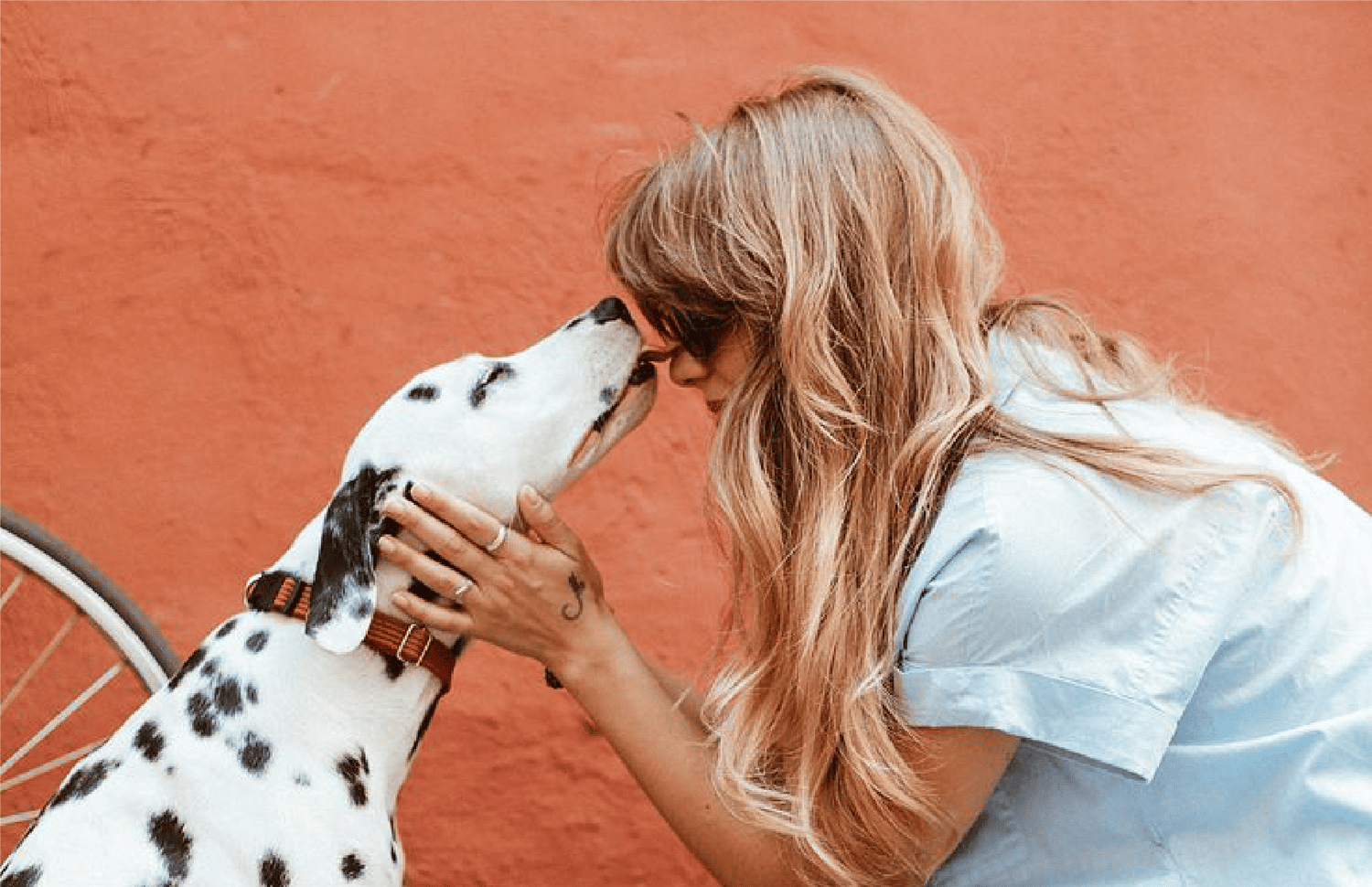 Why Do Dogs Sniff Everything? The Science Behind Your Pup’s Nose