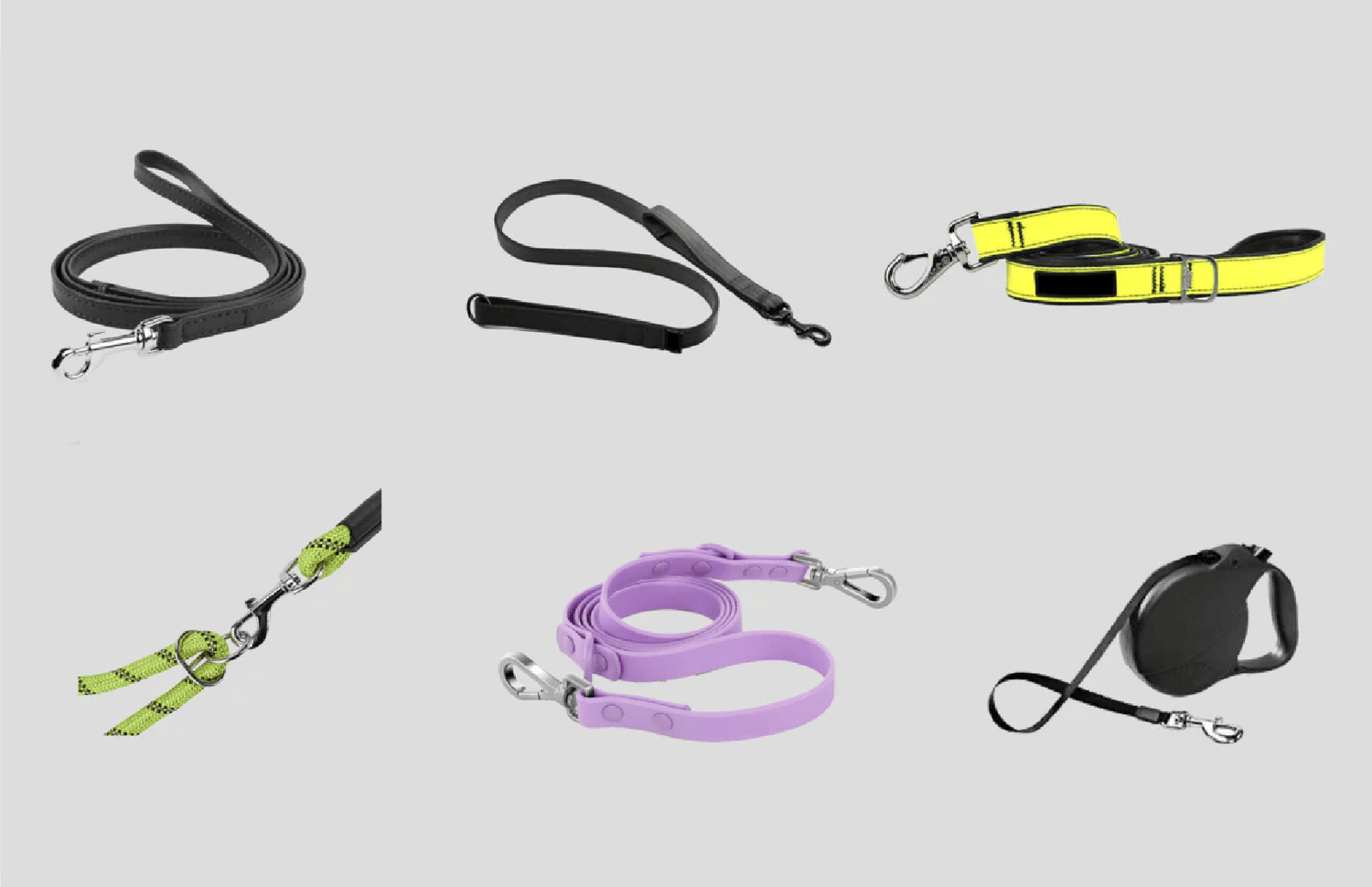 Dog Leash Price Guide & Differences Explained