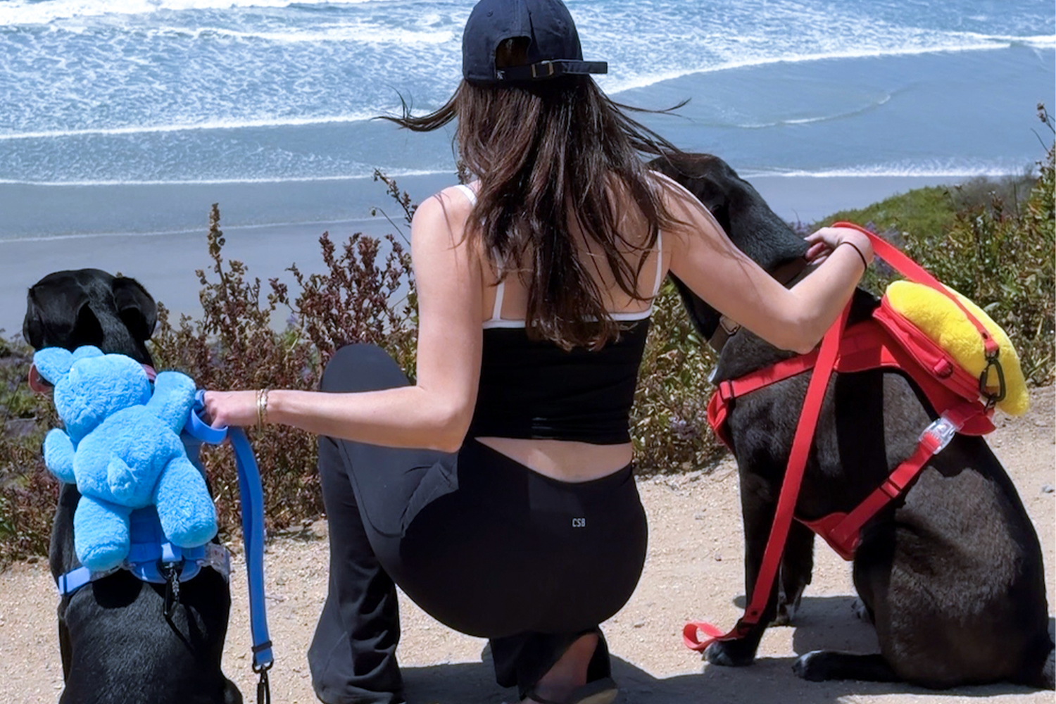 Two dogs wearing KRBOBO Ruby Harness and Celeste Harness while relaxing with their owner by the ocean during an outdoor adventure.