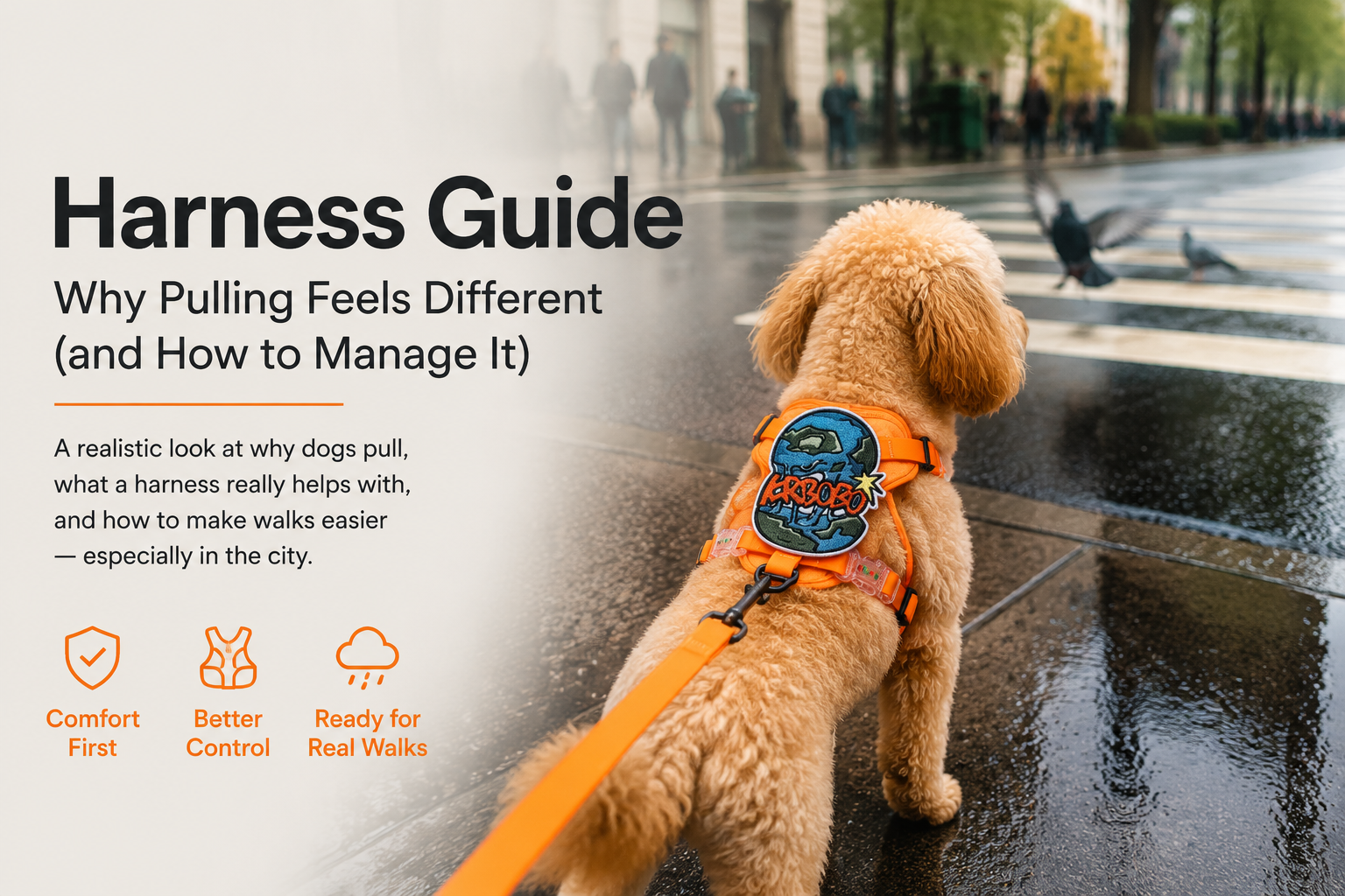 Dog wearing an orange harness being walked on a wet city sidewalk, with blurred pigeons and pedestrians in the background, paired with a clean editorial layout explaining why dogs pull and how a harness helps manage city walks.
