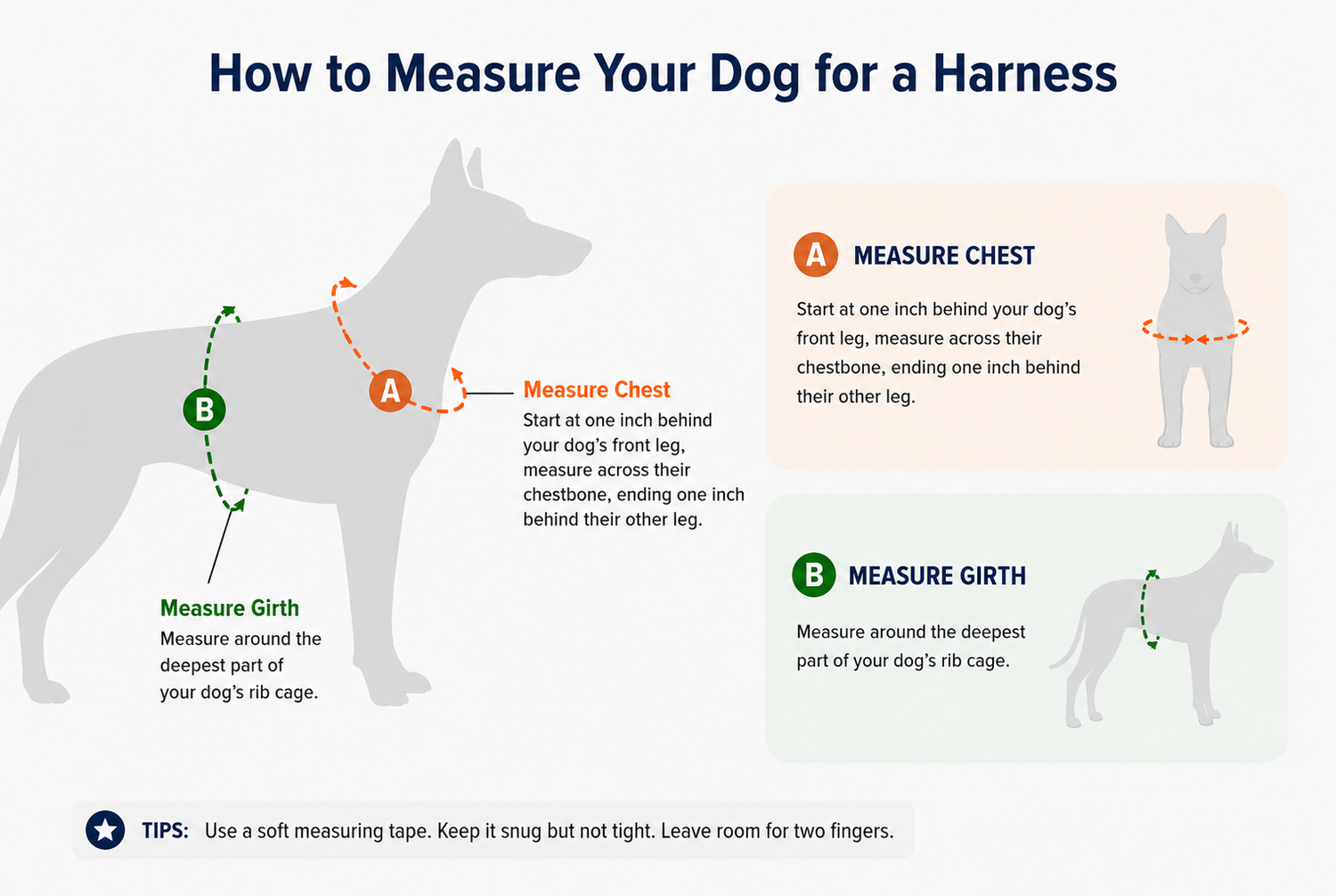 How to measure your dog for a harness: infographic showing Top View and Front View measurements for Chest (A) and Girth (B).