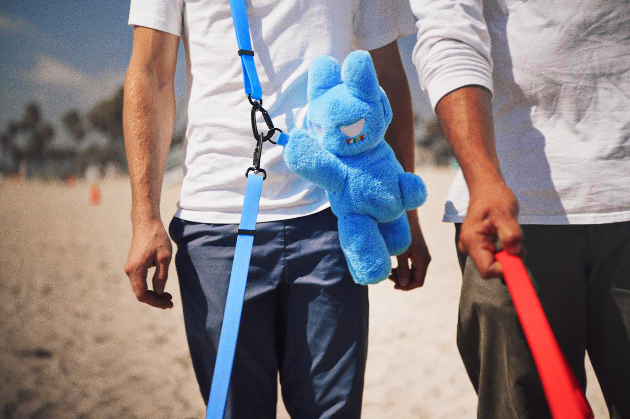 lightweight dog harness used during outdoor walk on beach with leash and accessory attachment