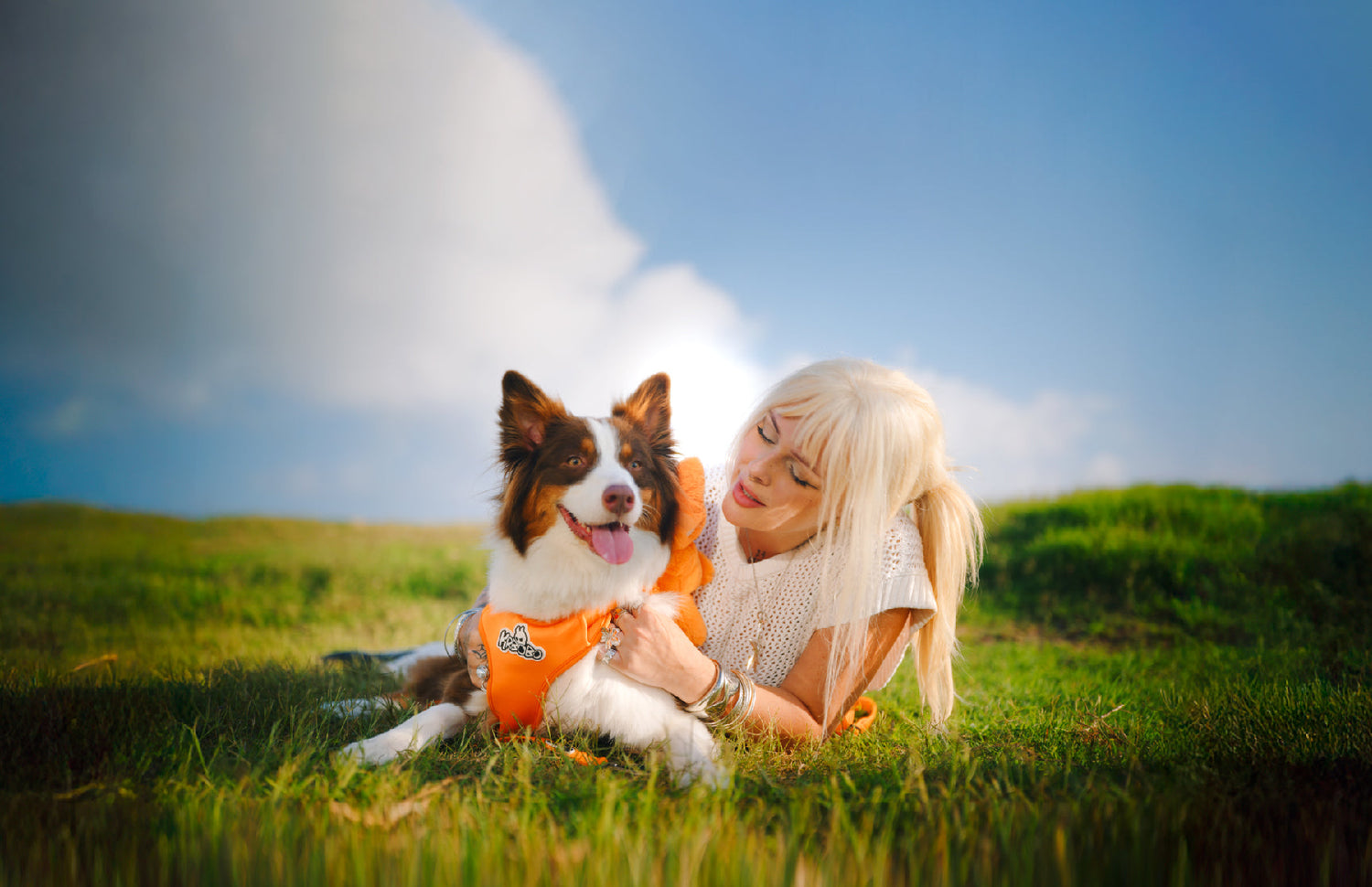 The Ultimate Guide to Short Trips With Your Dog