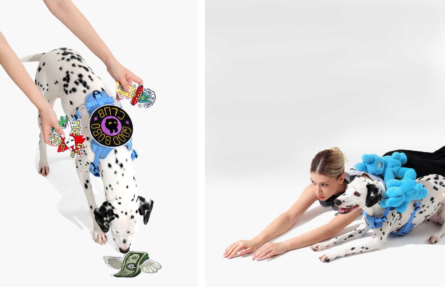 Krbobo Walk Accessories: Fun, Practical, and Made for You and Your Pup
