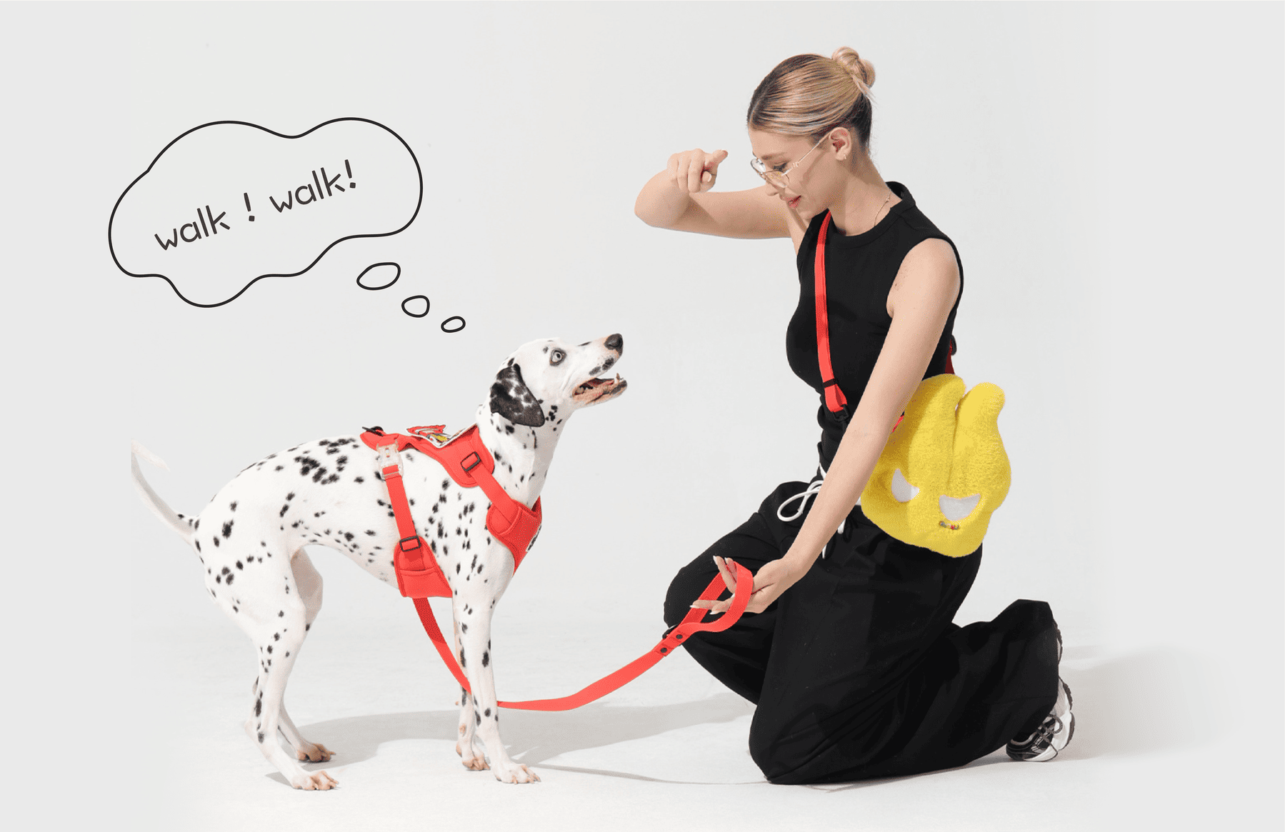 How to teach dogs walk on a leash?