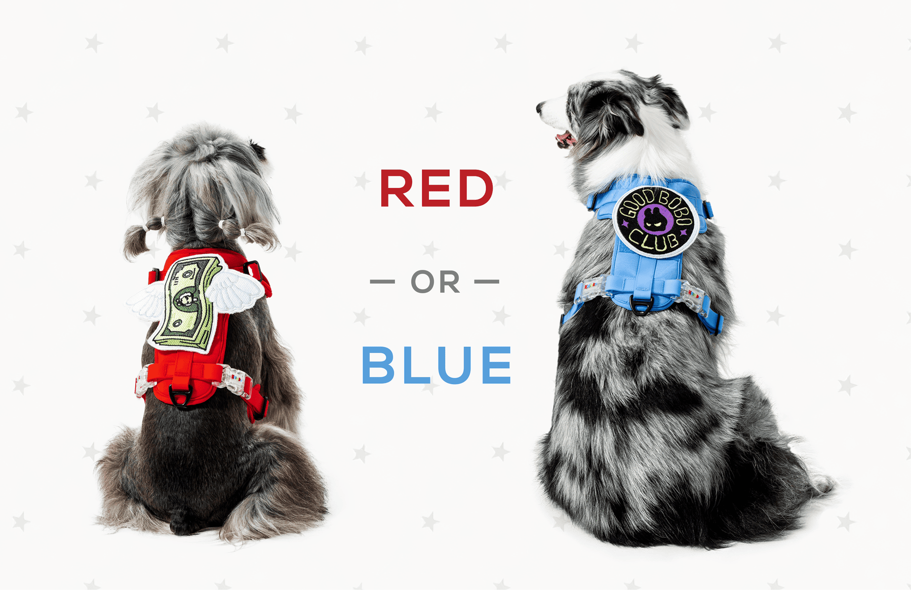 Walk Free, Walk Proud: Celebrating July 4th with KRBOBO