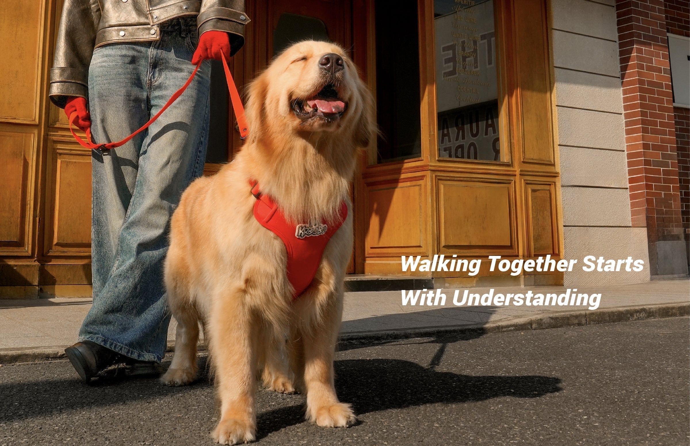 How to Teach Your Dog to Walk Nicely by Your Side