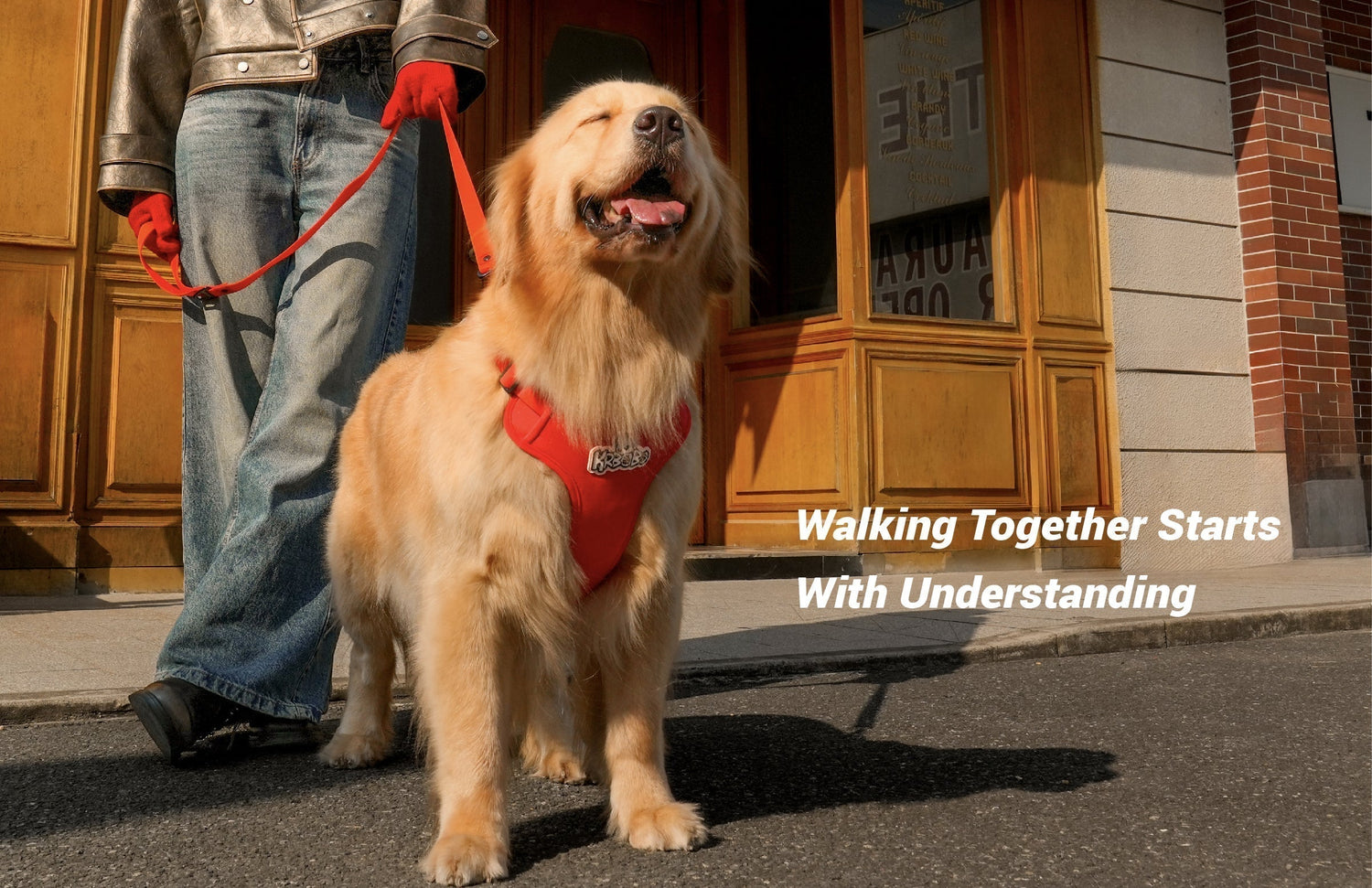 How to Teach Your Dog to Walk Nicely by Your Side