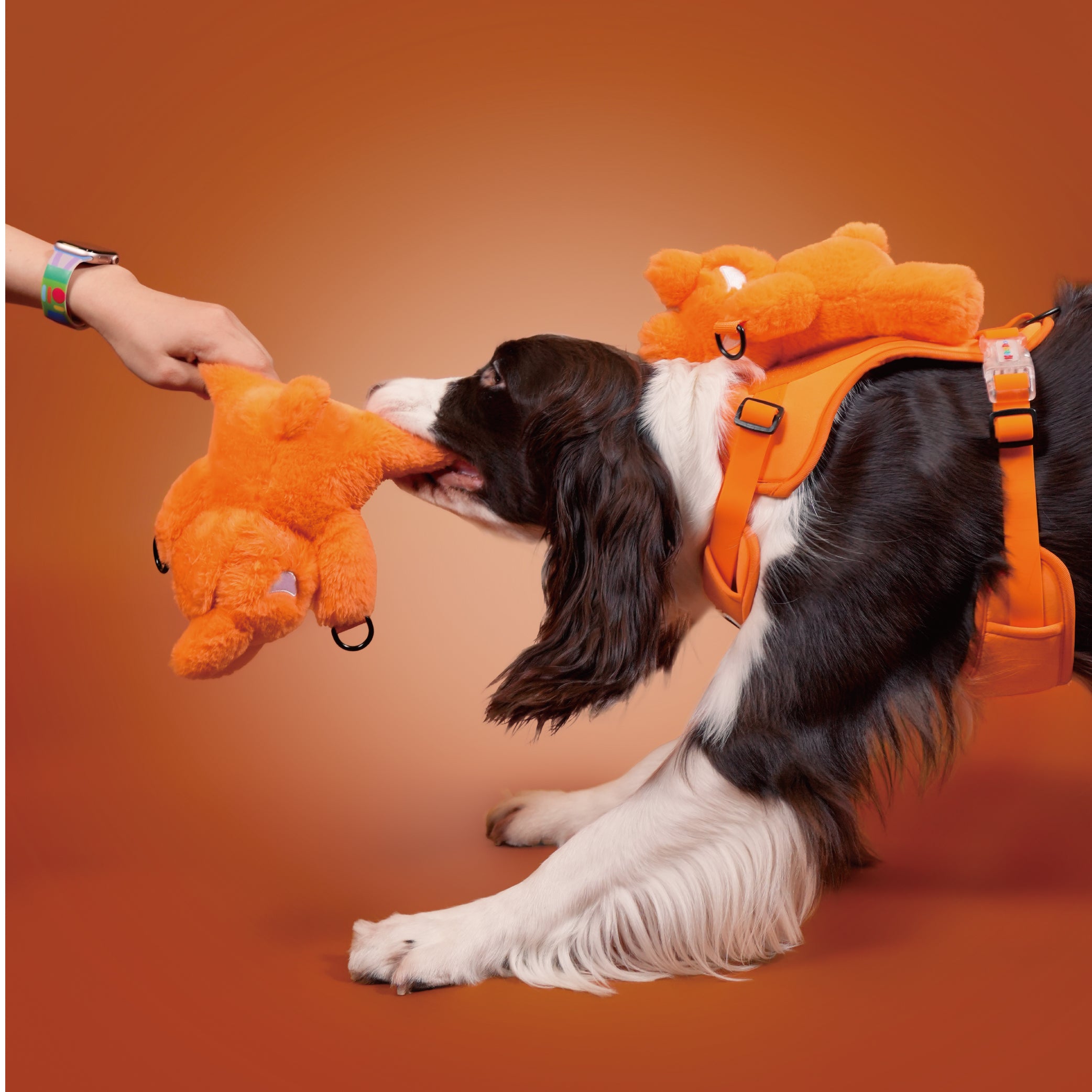 BOBO WALK KIT