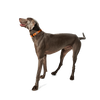 KRBOBO COLLAR