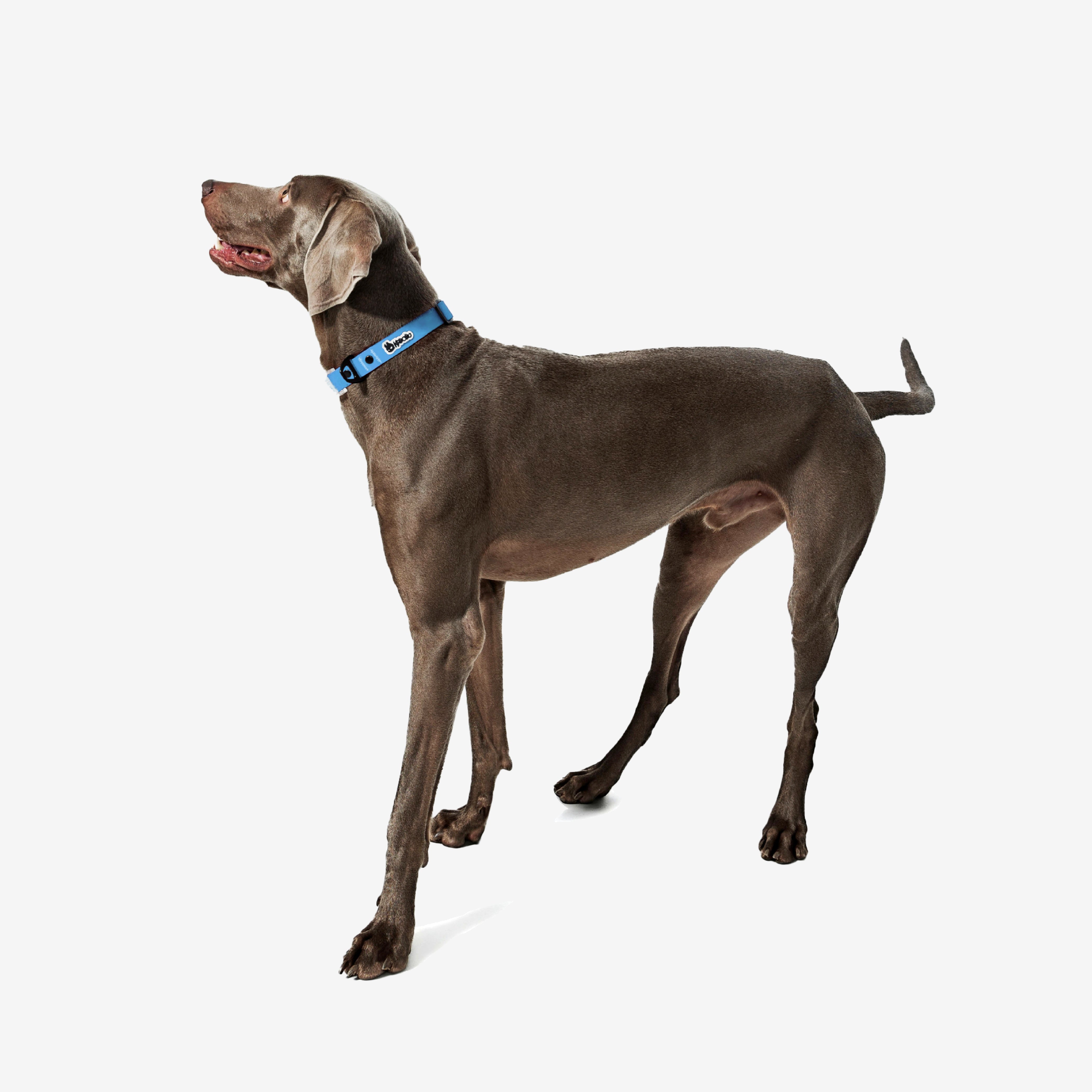 KRBOBO COLLAR