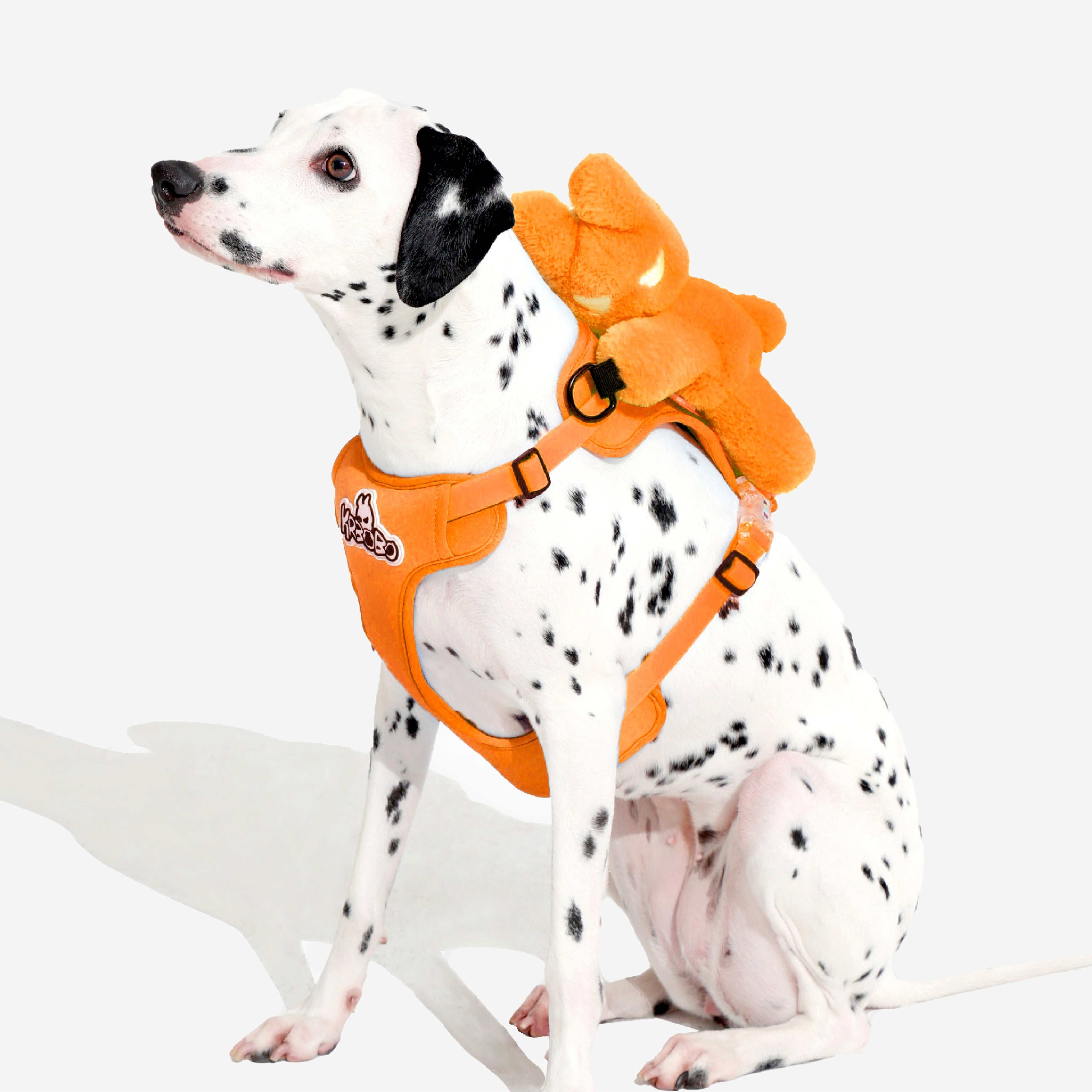 DOG'S BAG