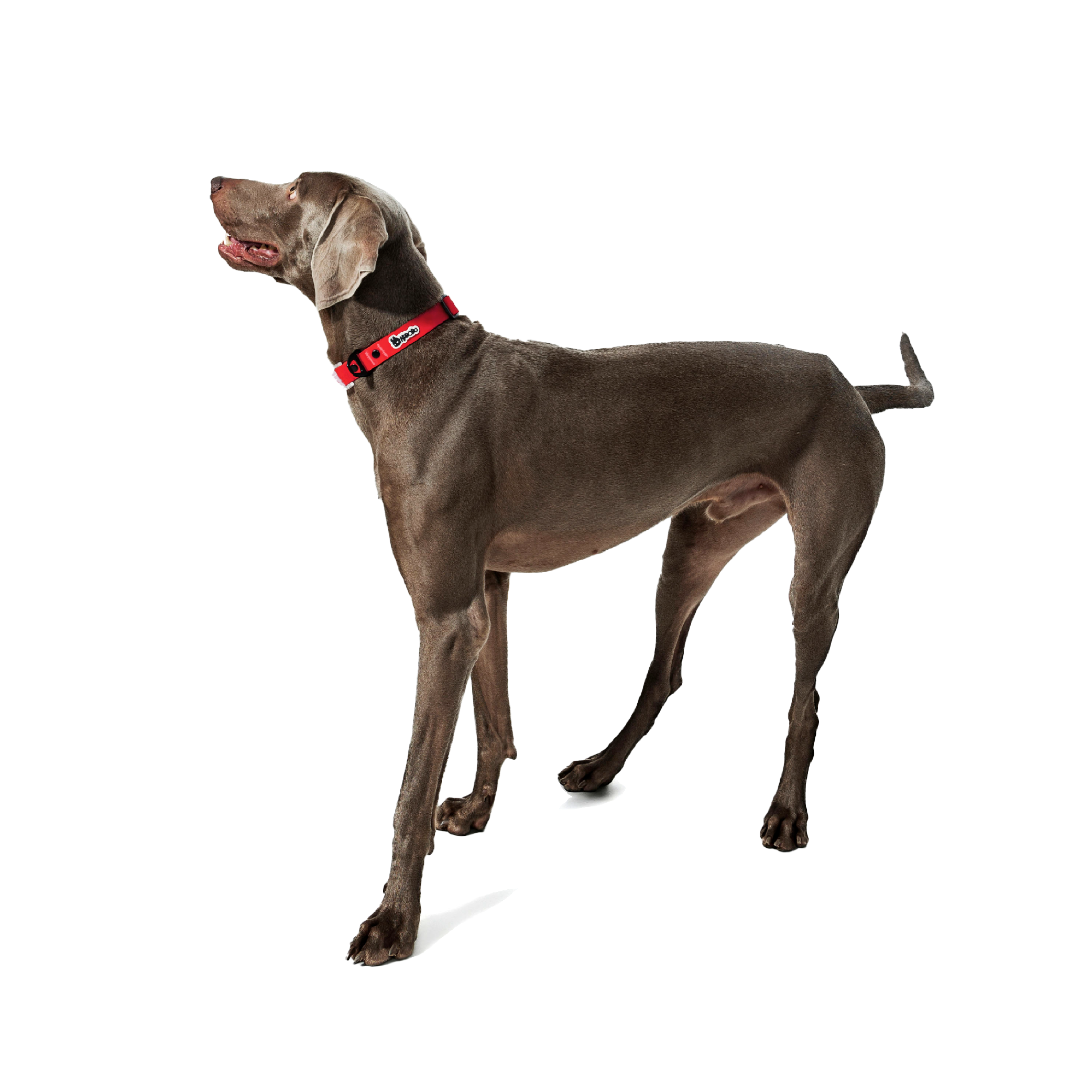  KRBOBO COLLAR