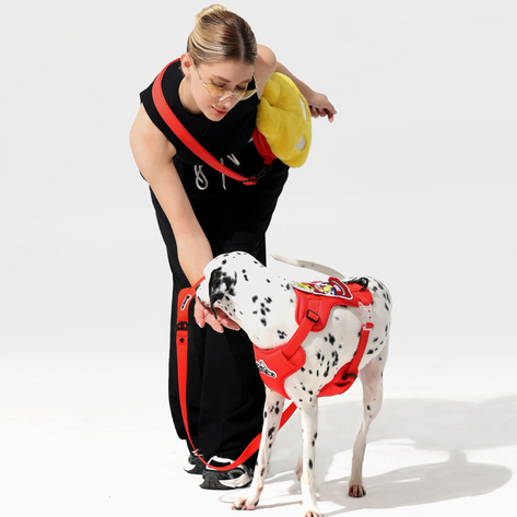  KRBOBO WALK KIT