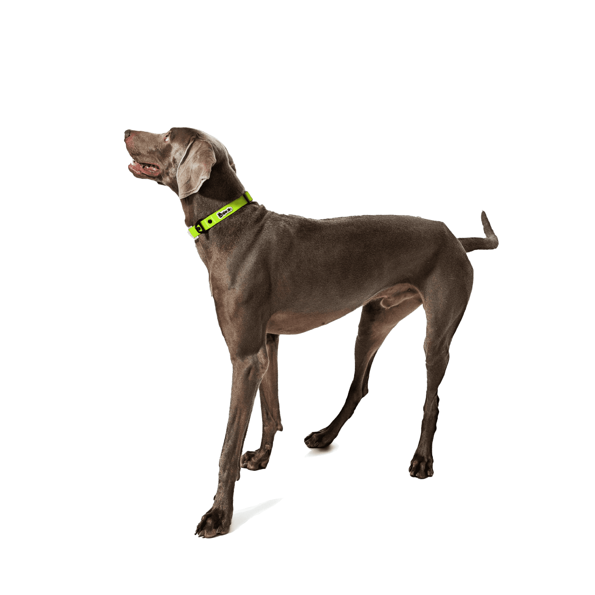 KRBOBO COLLAR