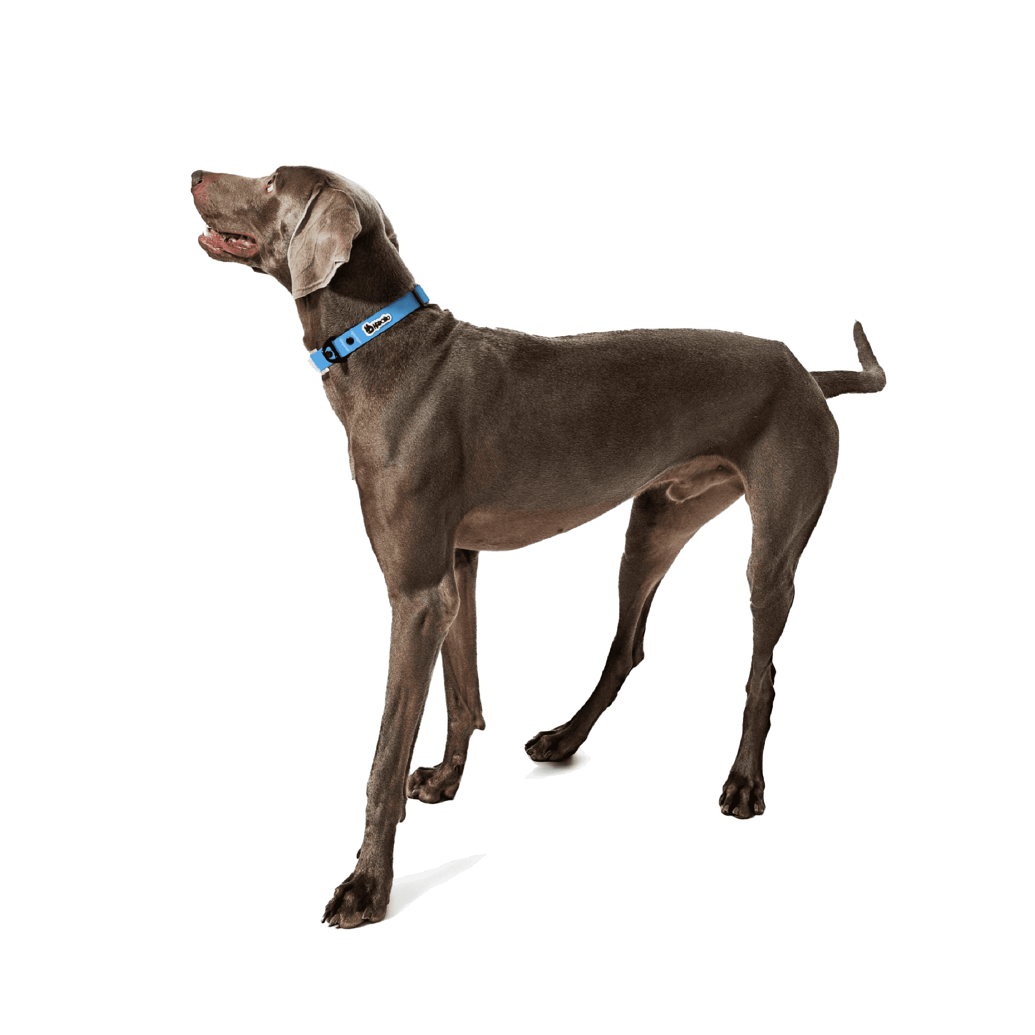  KRBOBO COLLAR