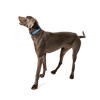 KRBOBO COLLAR