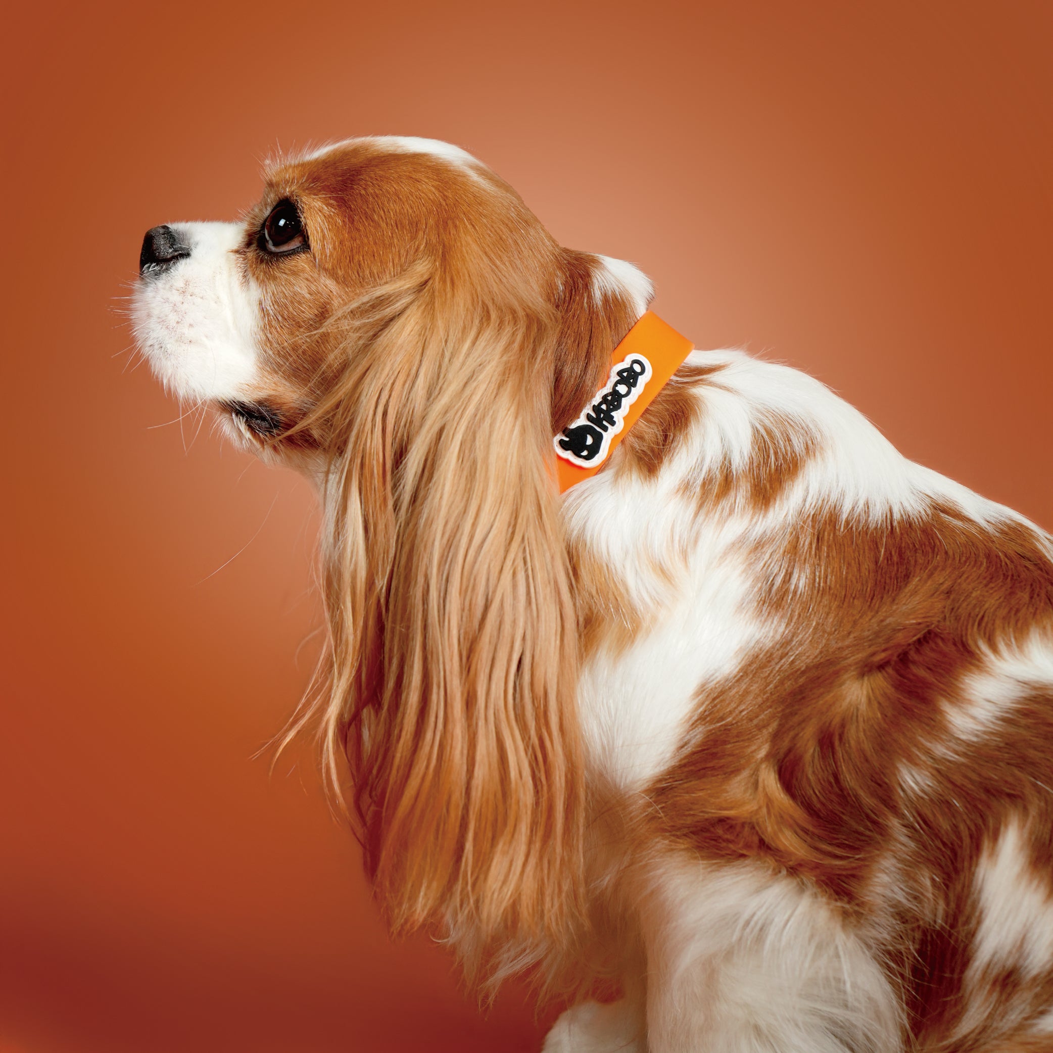 KRBOBO COLLAR