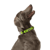 KRBOBO COLLAR