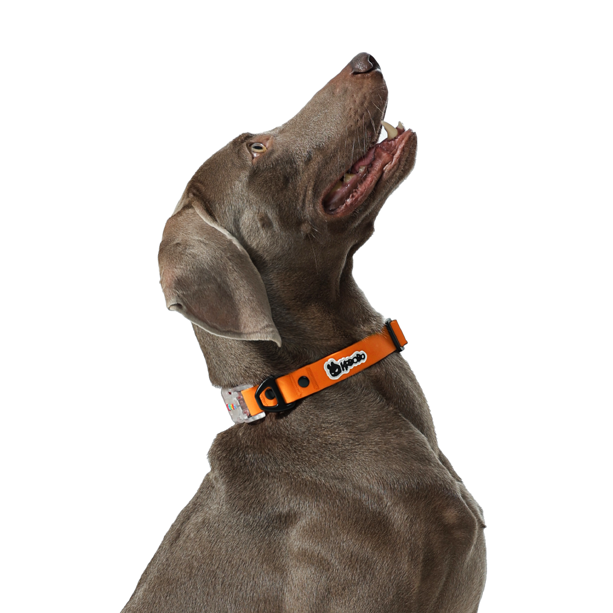 KRBOBO COLLAR