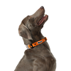 KRBOBO COLLAR