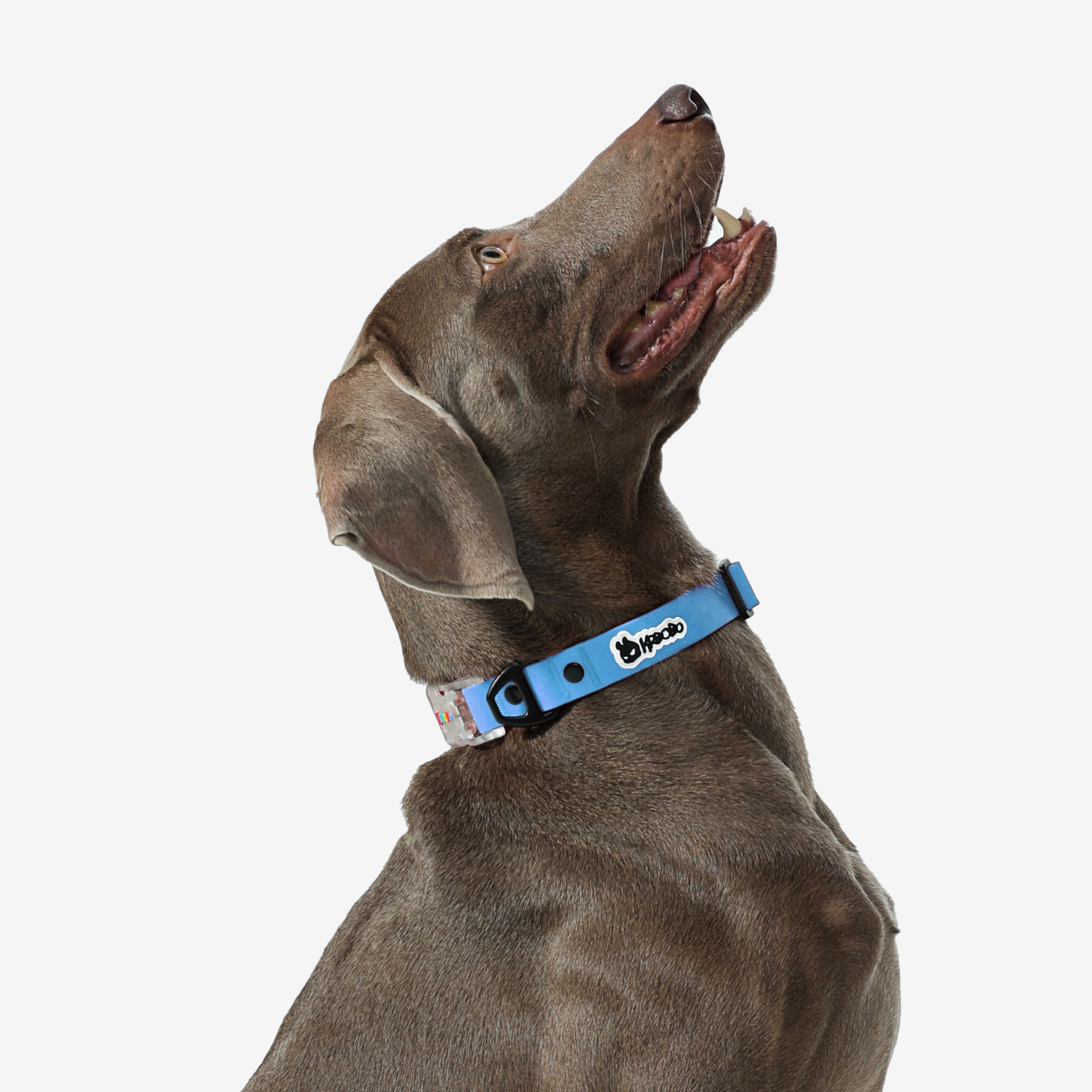 KRBOBO COLLAR